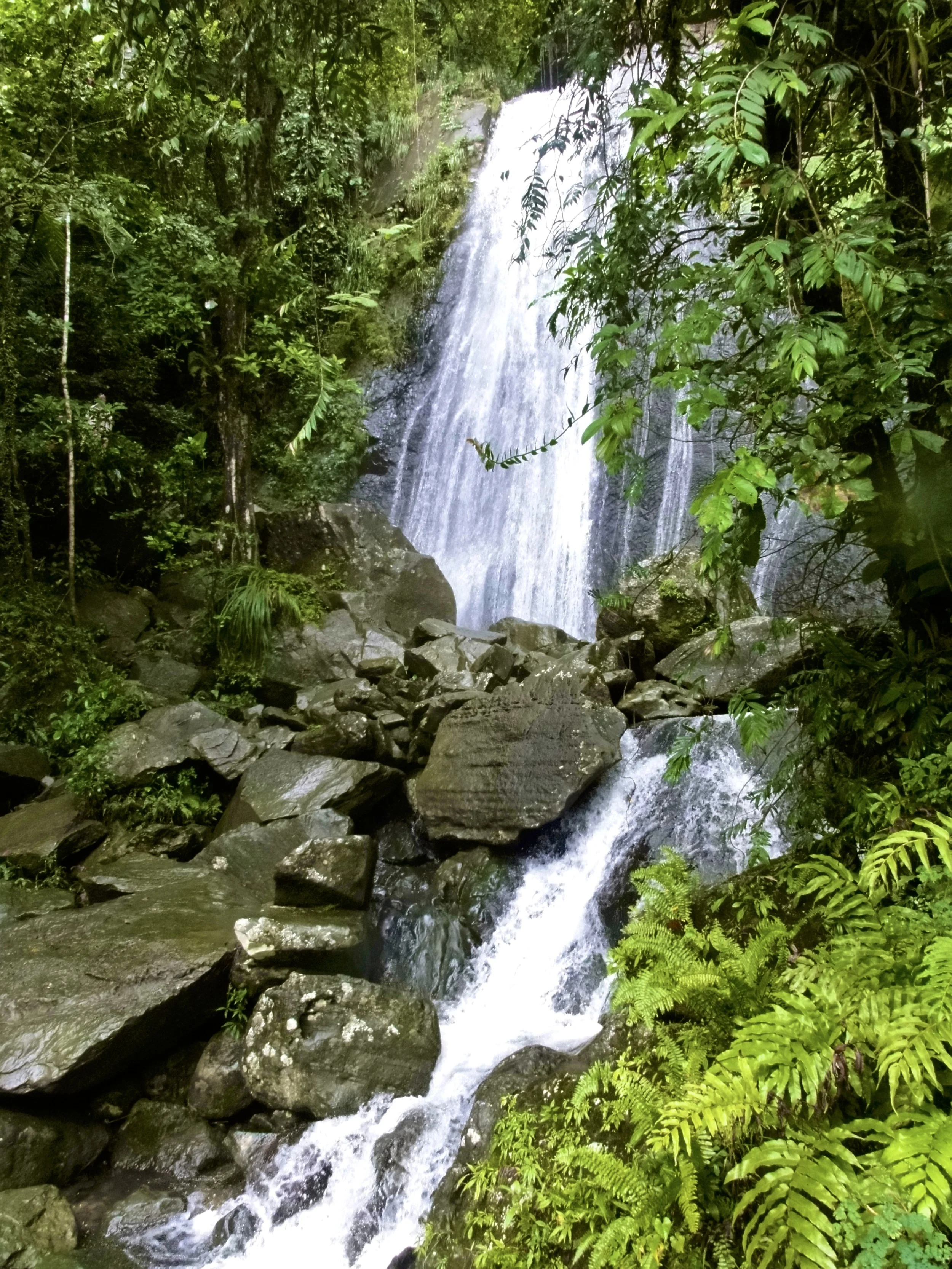 DSC01390.jpg