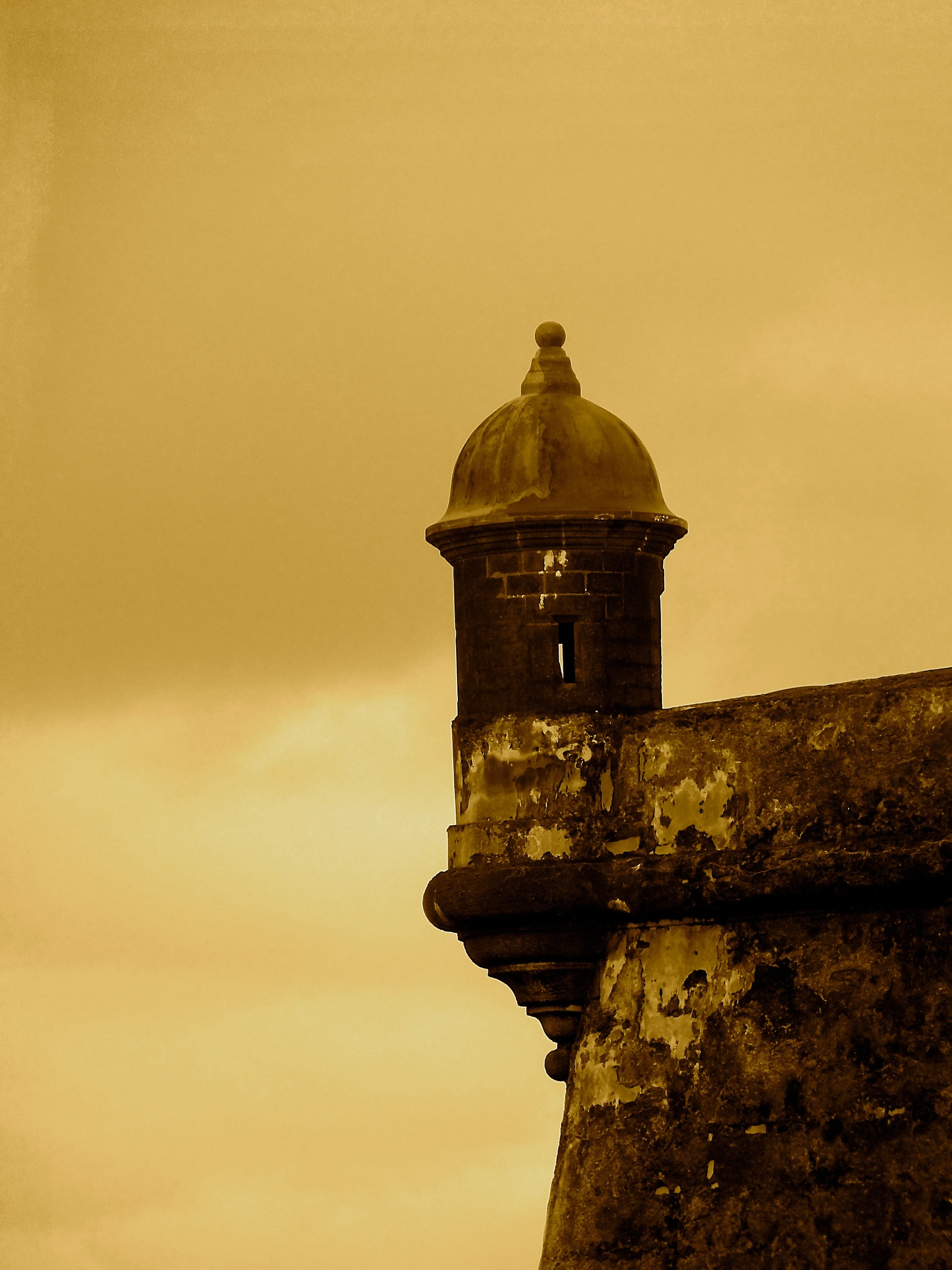 garrrita some more.JPG