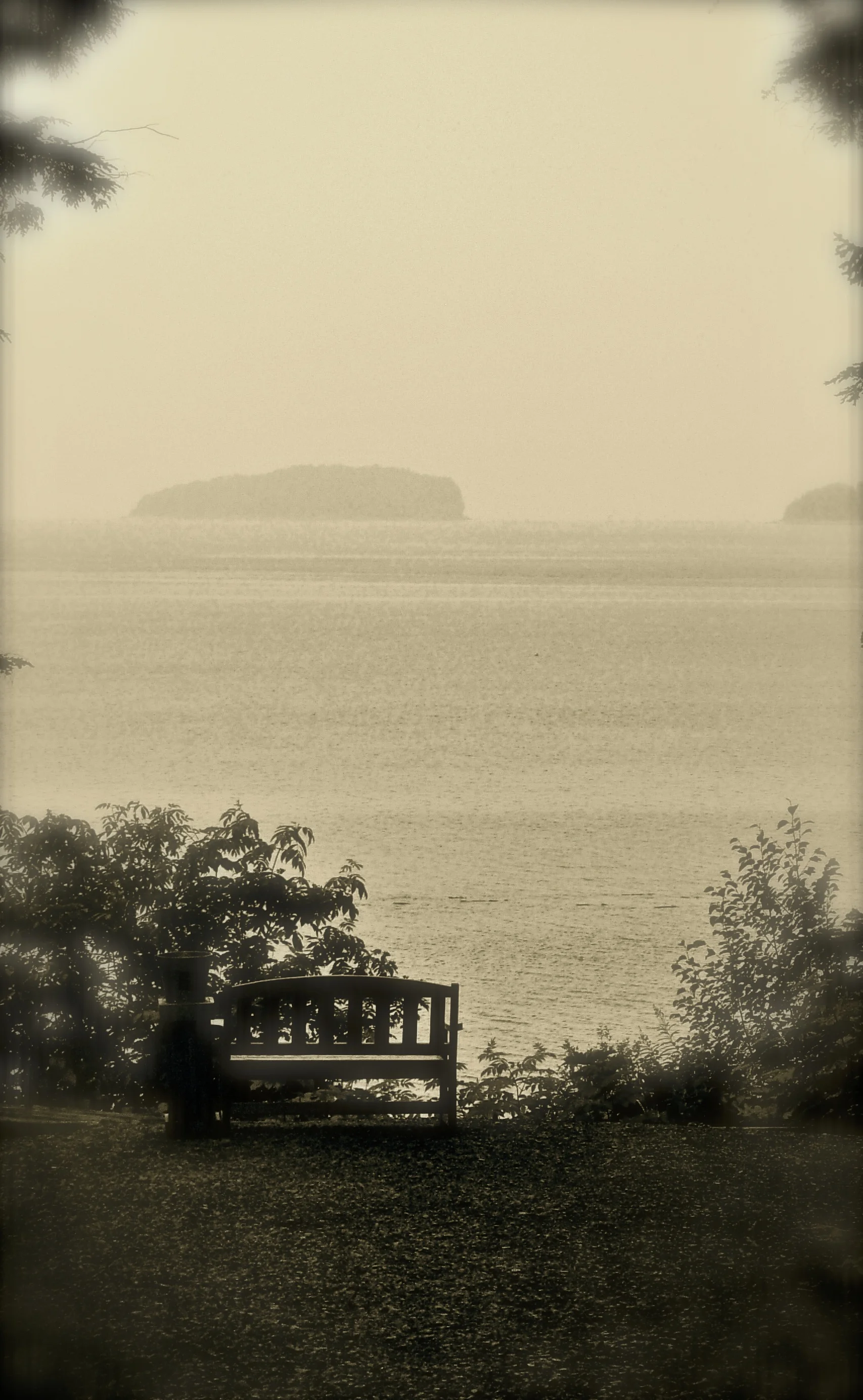 2009 504.jpg