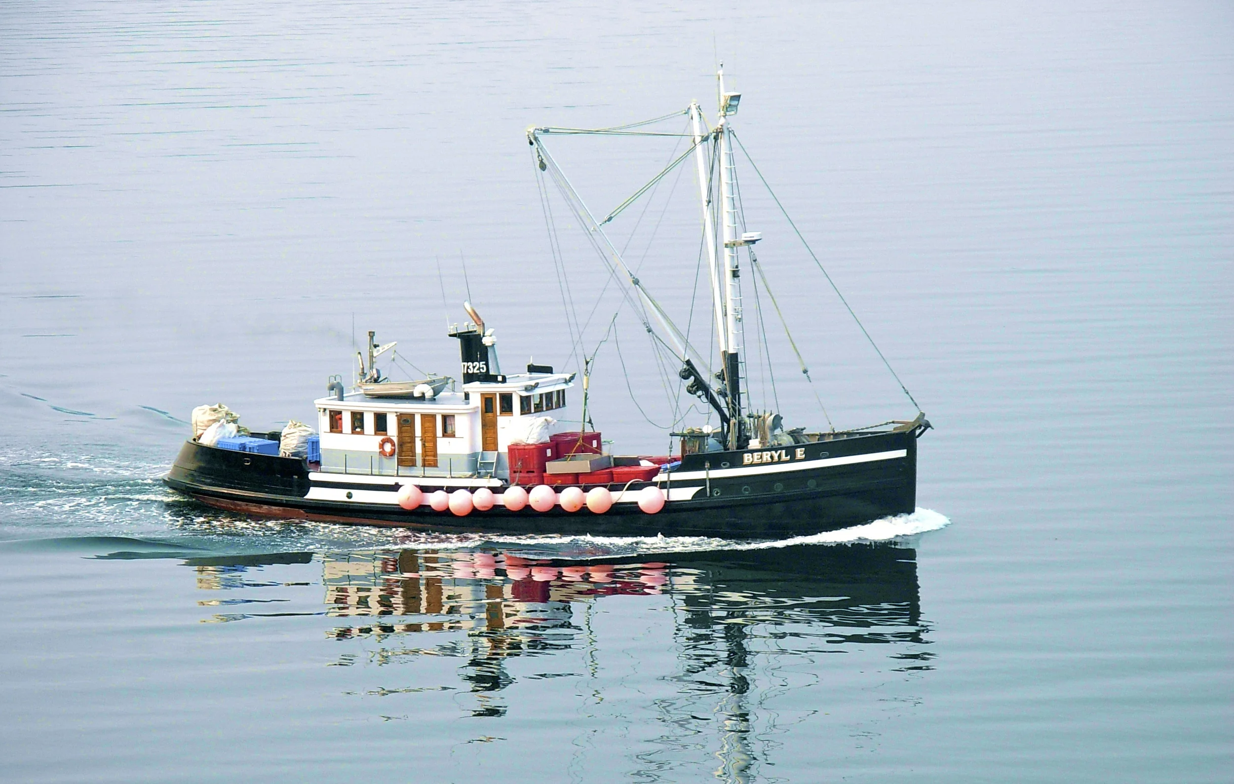 2009 495.jpg