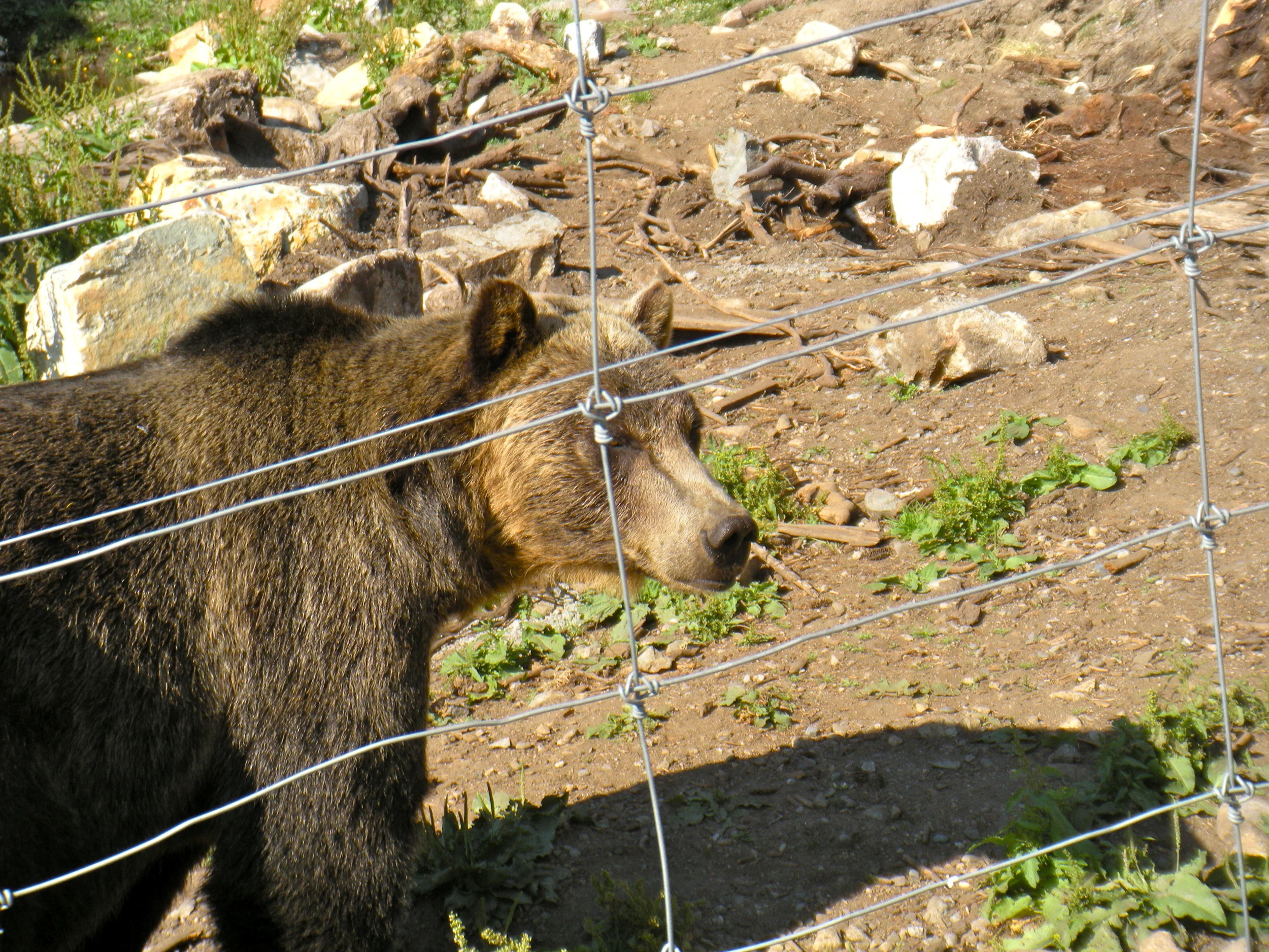 DSCN0709.JPG
