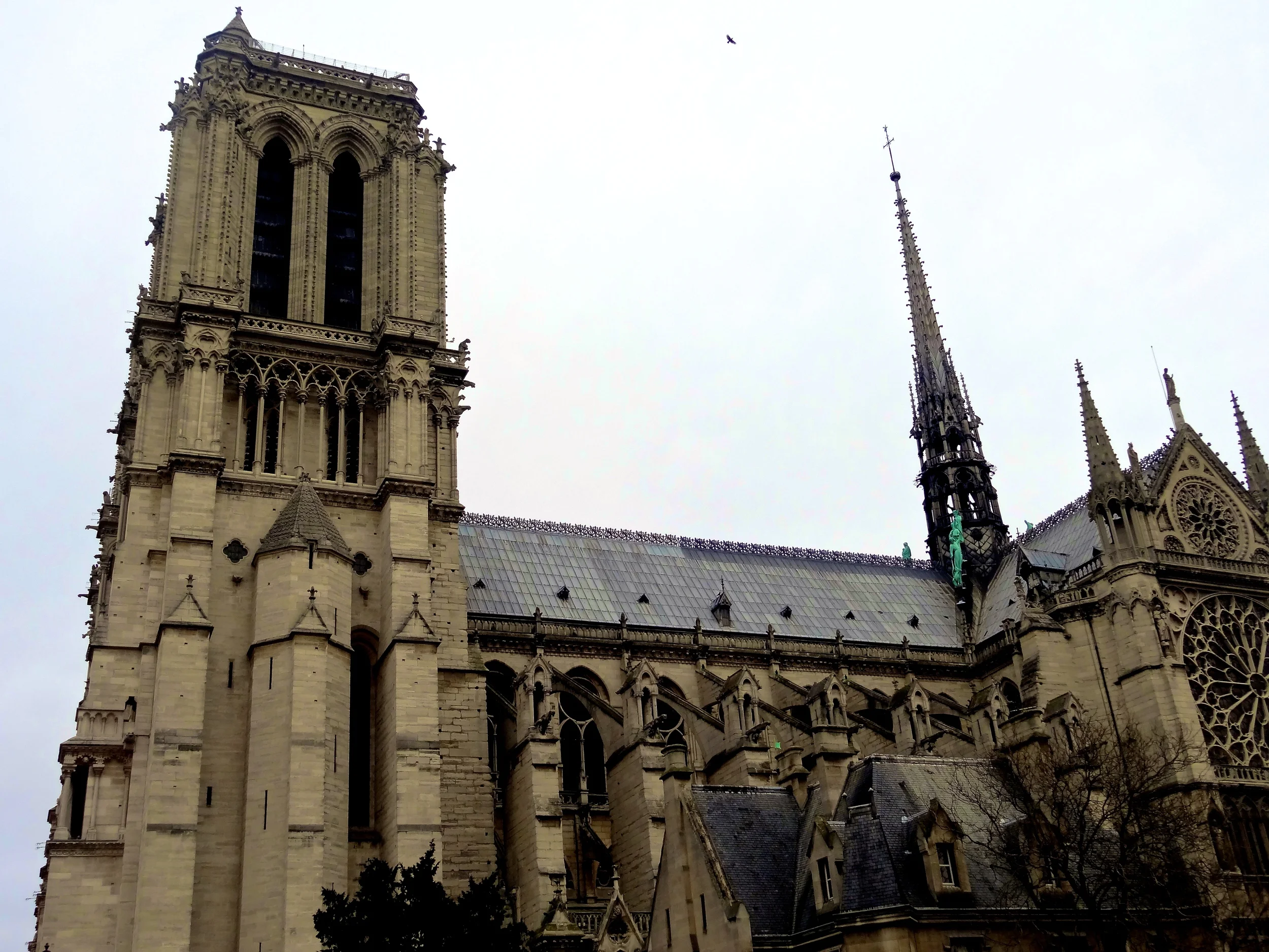 DSC04399.JPG