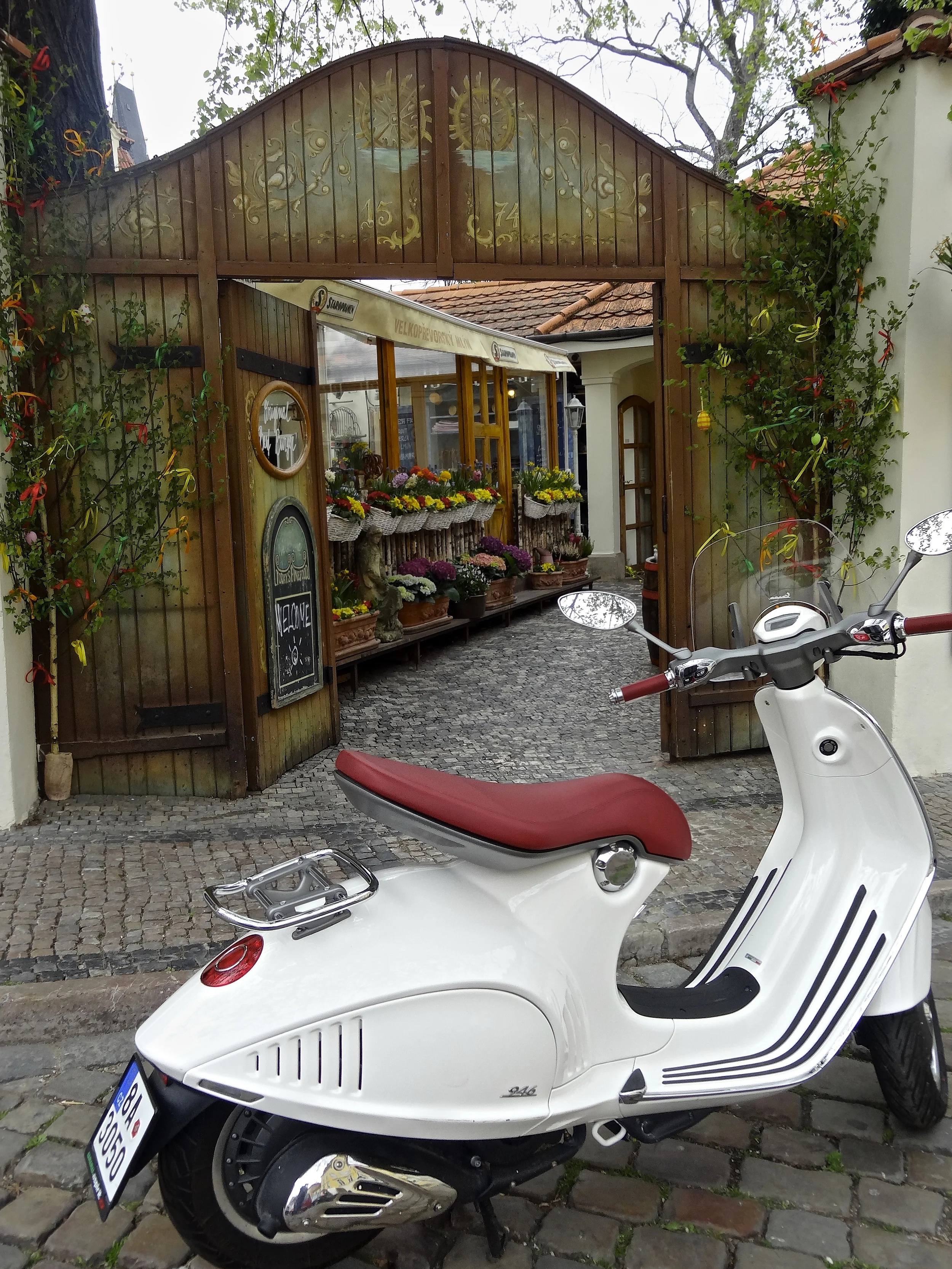 DSC06066.jpg