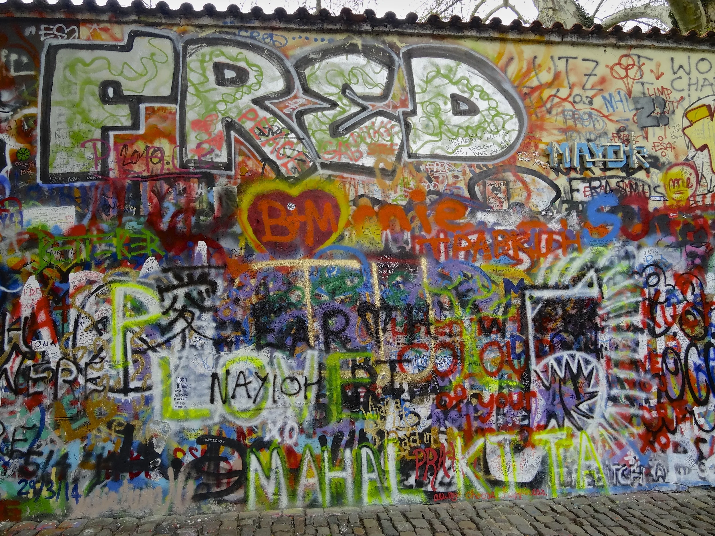 DSC06060.jpg
