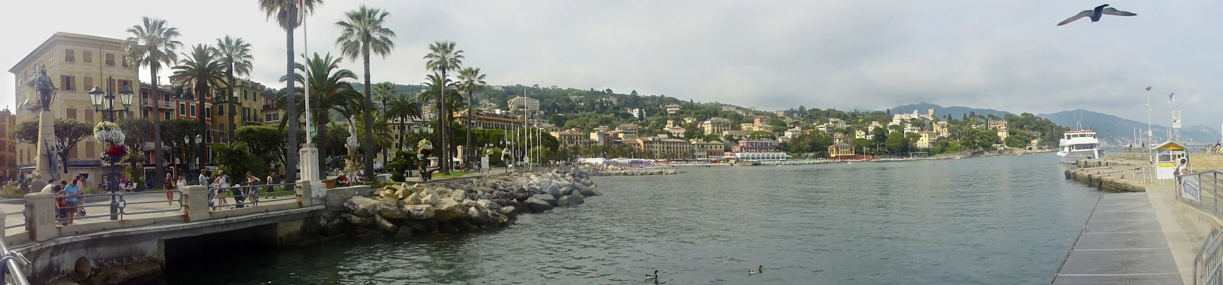 DSC03507.jpg