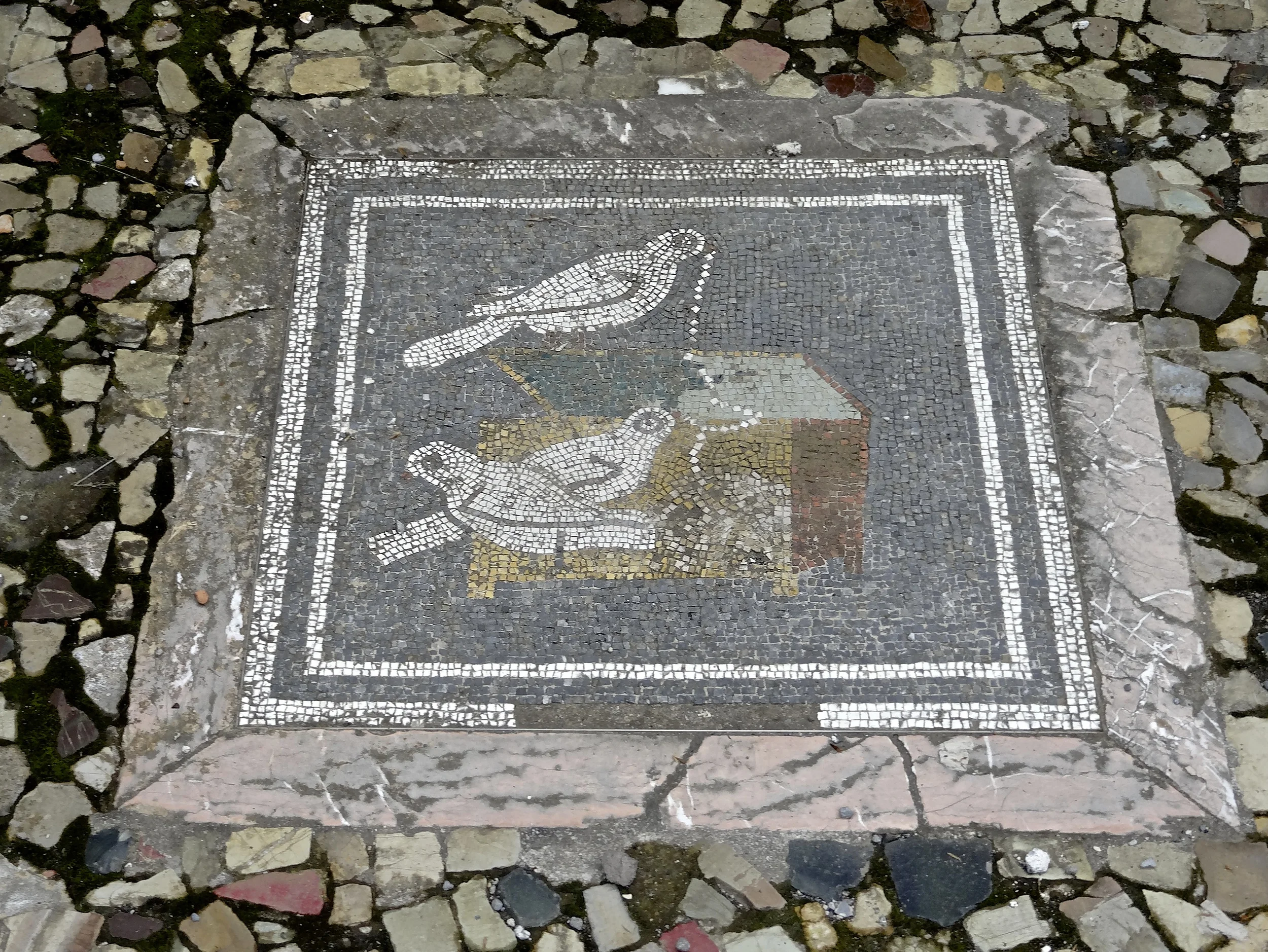 DSC06866.jpg