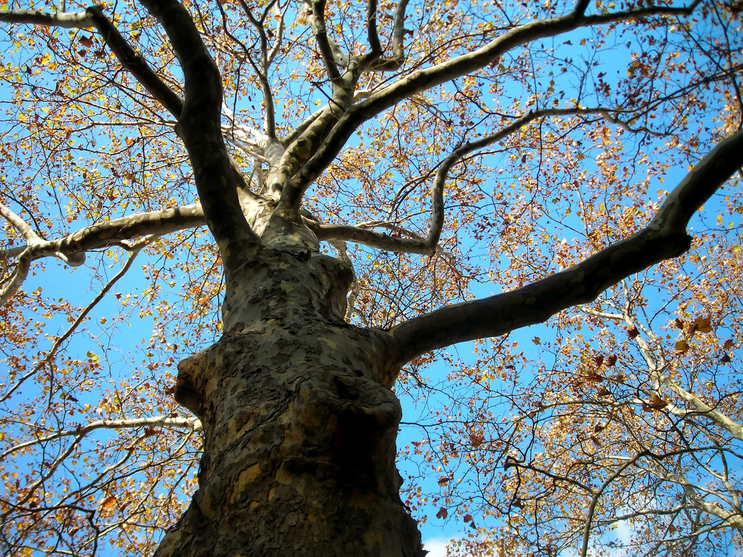 Guest Post: Driving Lessons