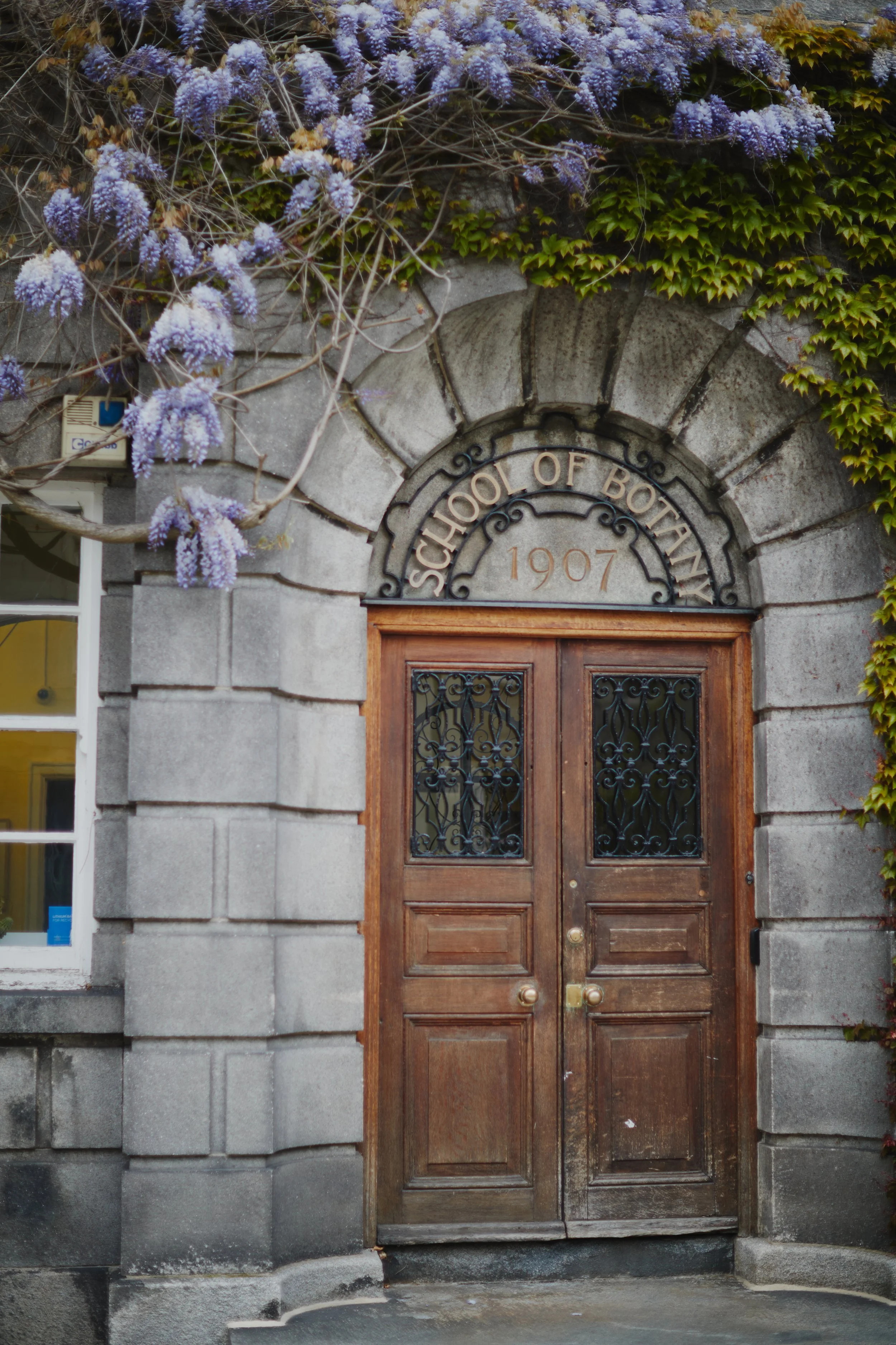 Dublin 20230 8.jpg