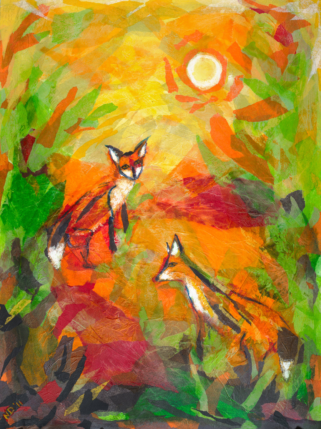 forest foxes