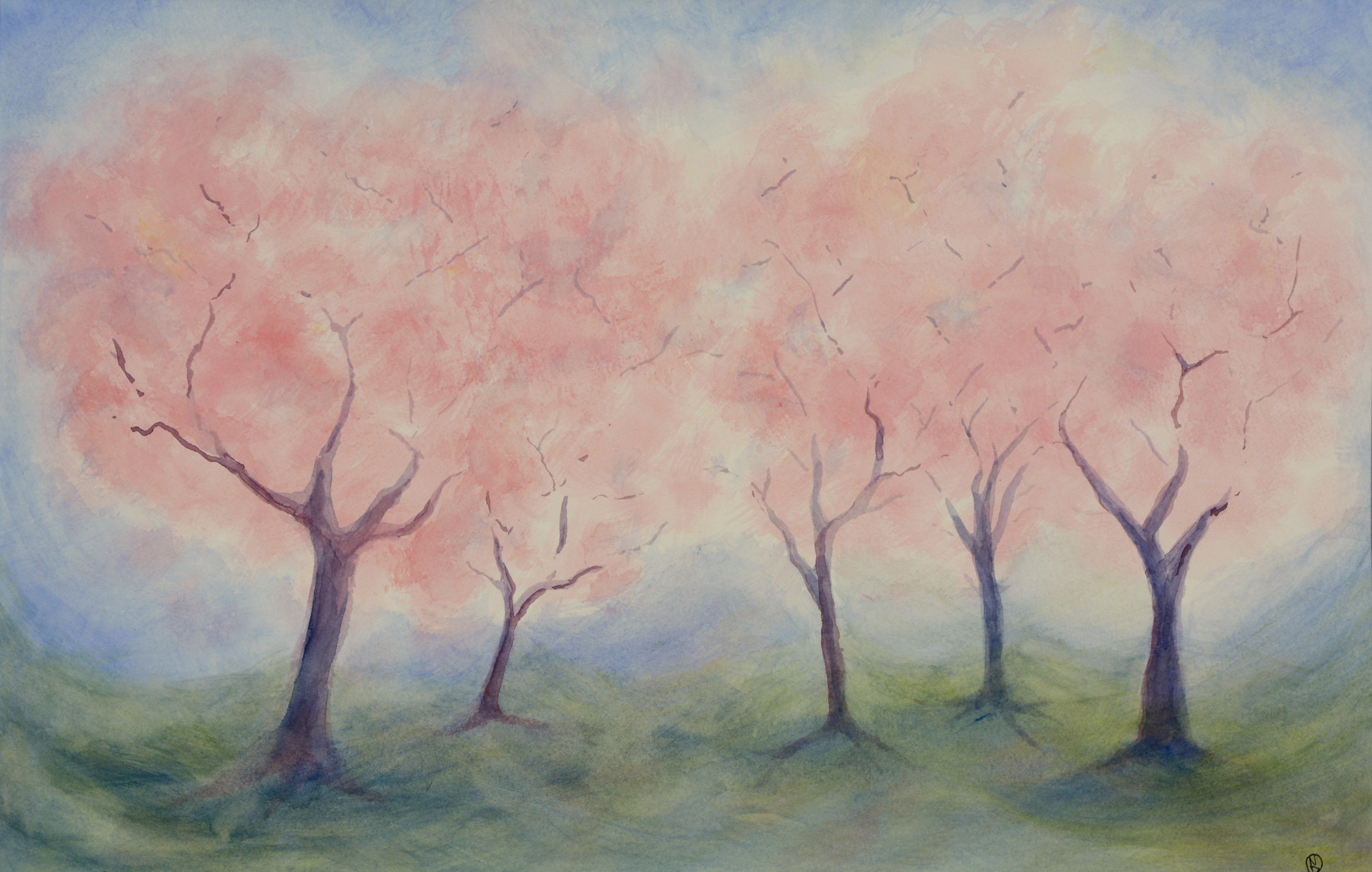 pink trees