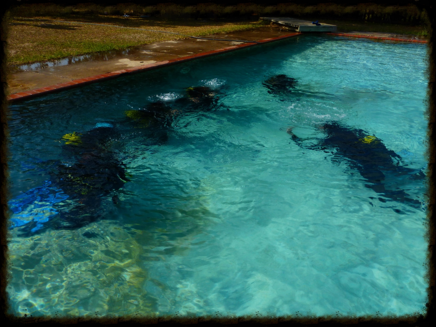 Some of us in the water during our "confined water dive".
