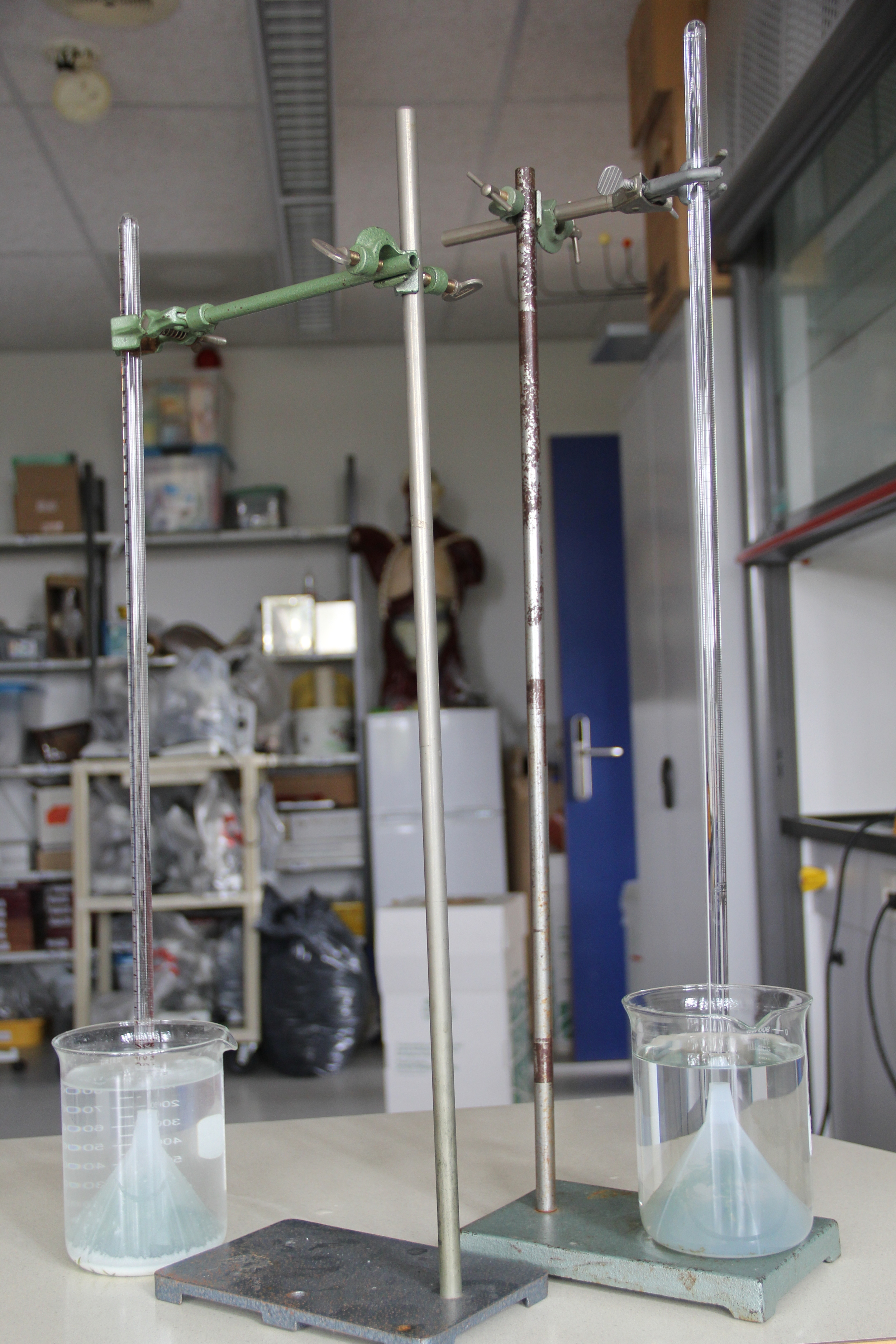 The illusive photosynthesis experiment. This student has a good start but has a lot to figure out. 