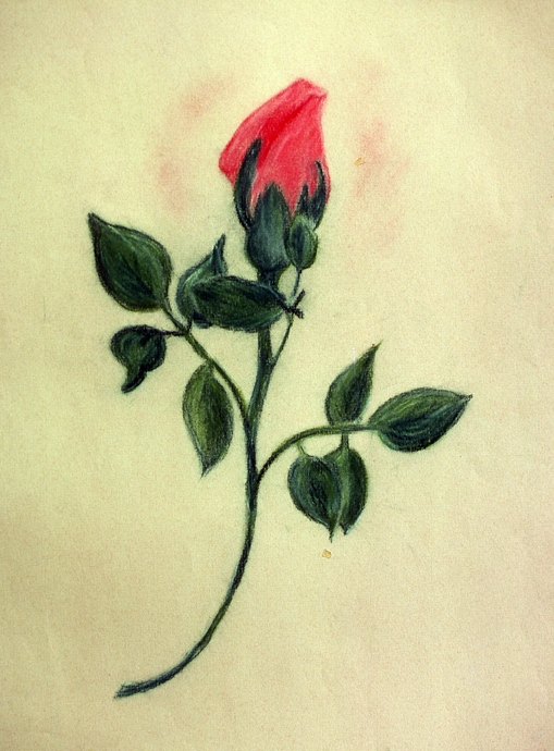roses.jpg