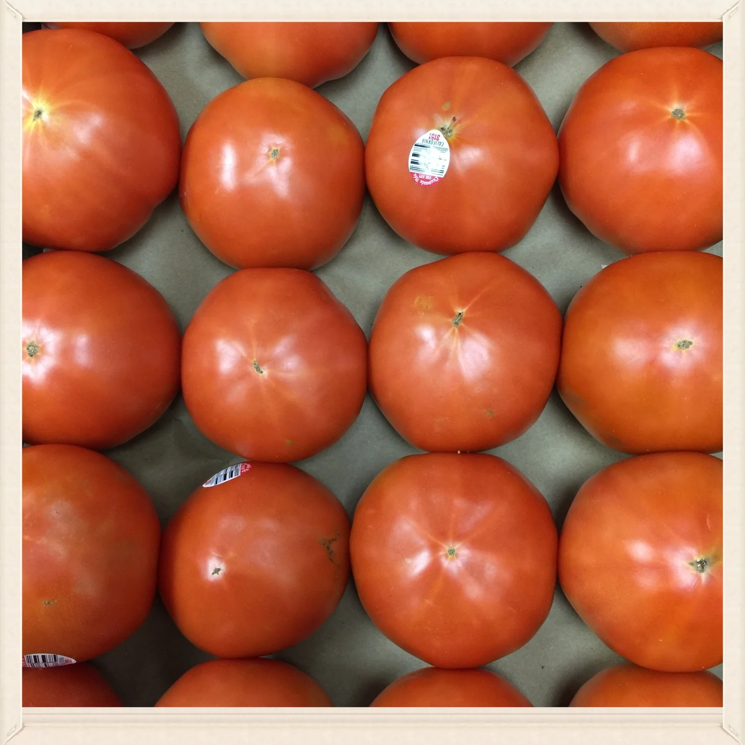 tomato.jpg