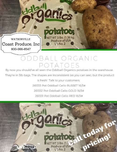 Russet potatoes pictured here