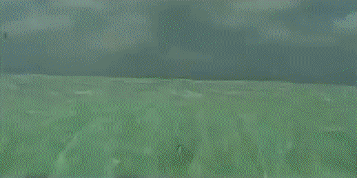 ezgif.com-crop (8).gif