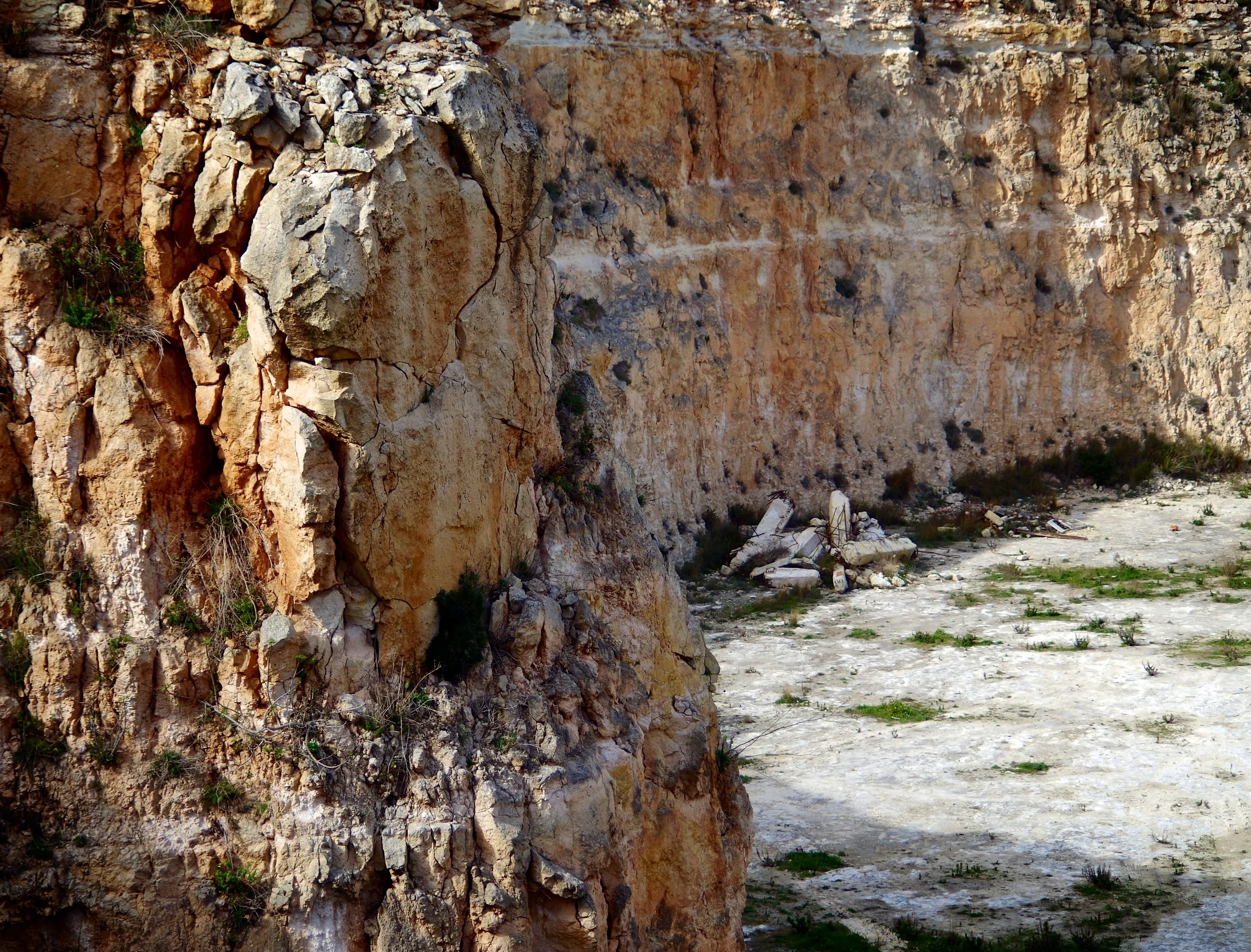 IMGP8540 - Version 2.jpg