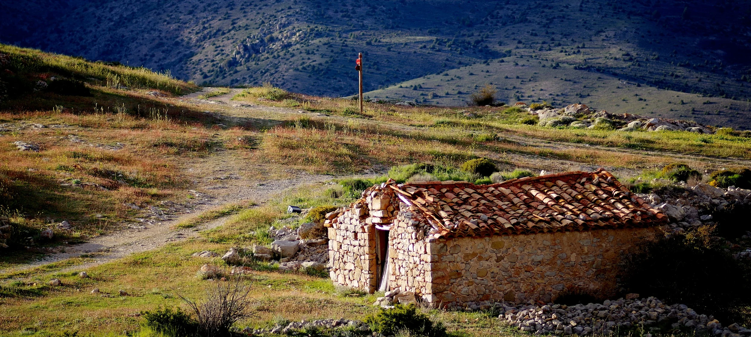 IMGP1715 - Version 2.jpg