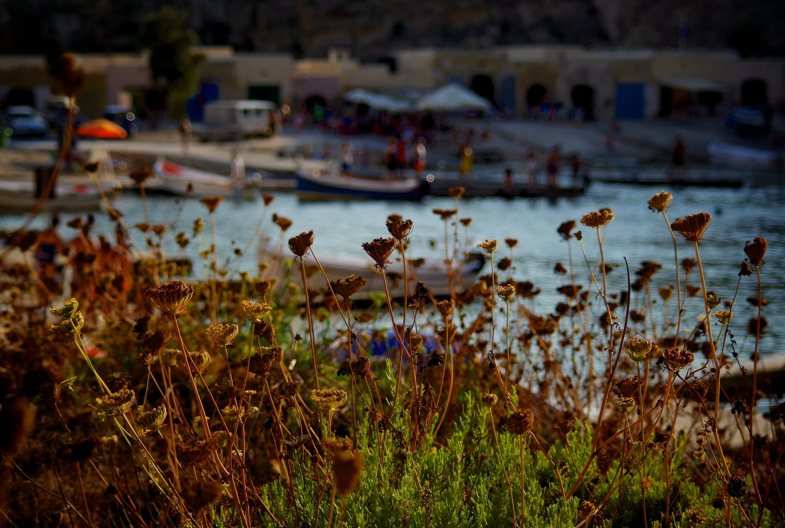 IMGP3946 - Version 2.jpg