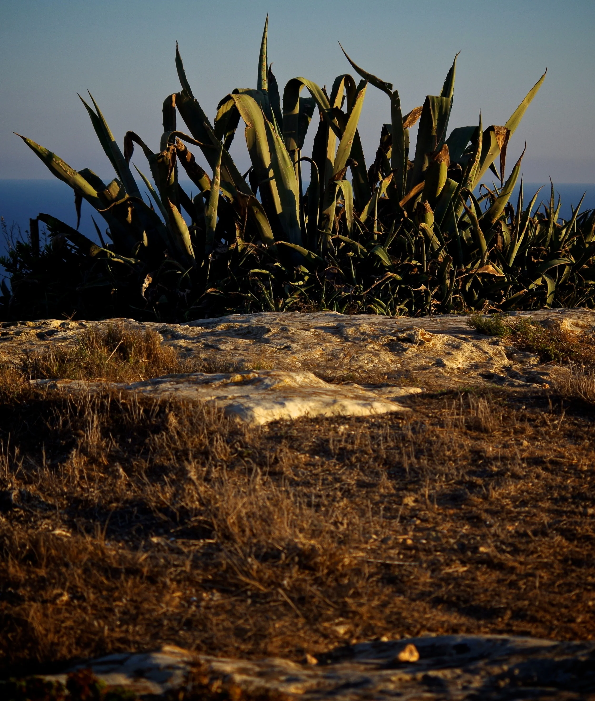 IMGP3640 - Version 2.jpg