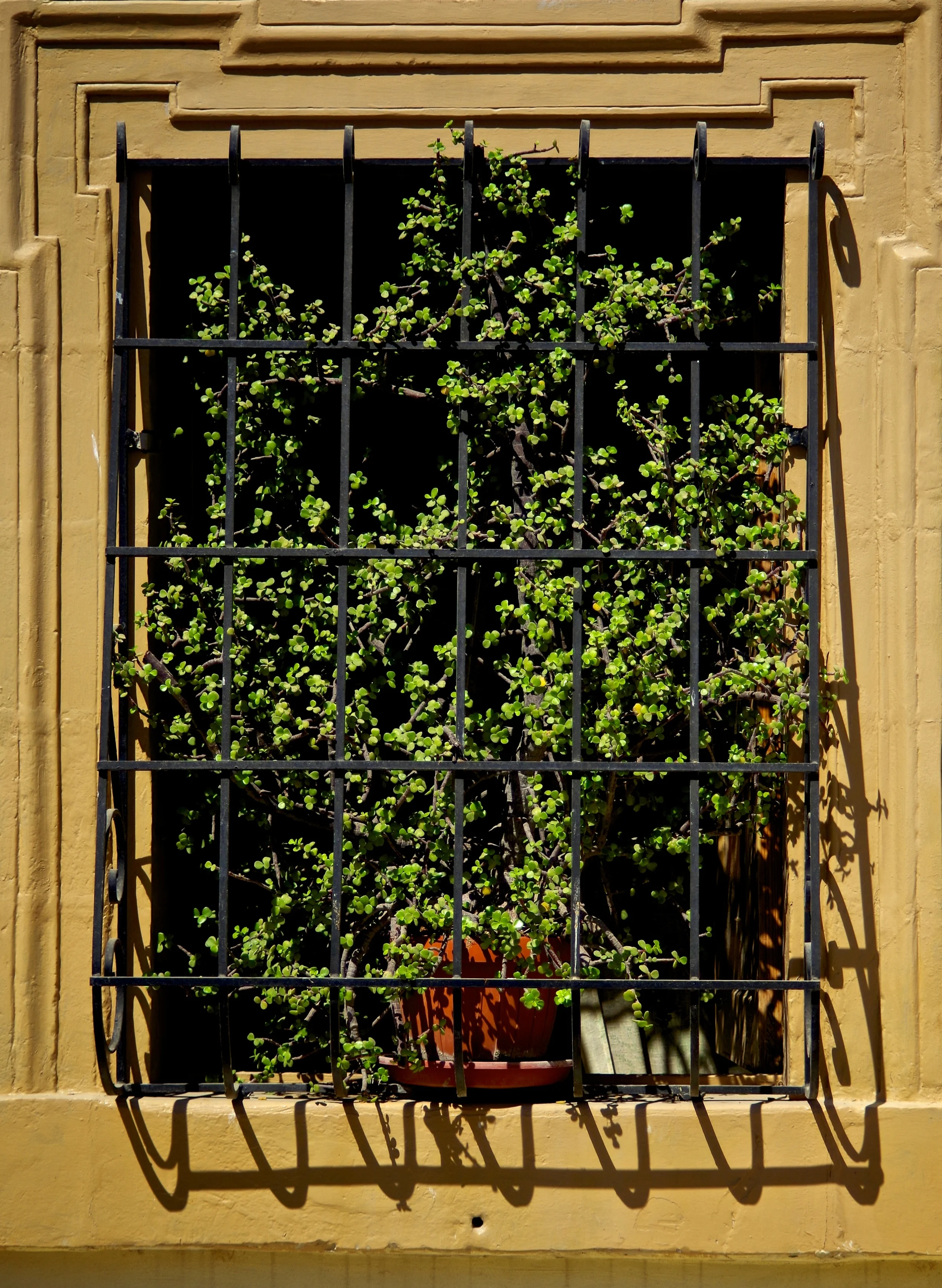 IMGP3888 - Version 2.jpg