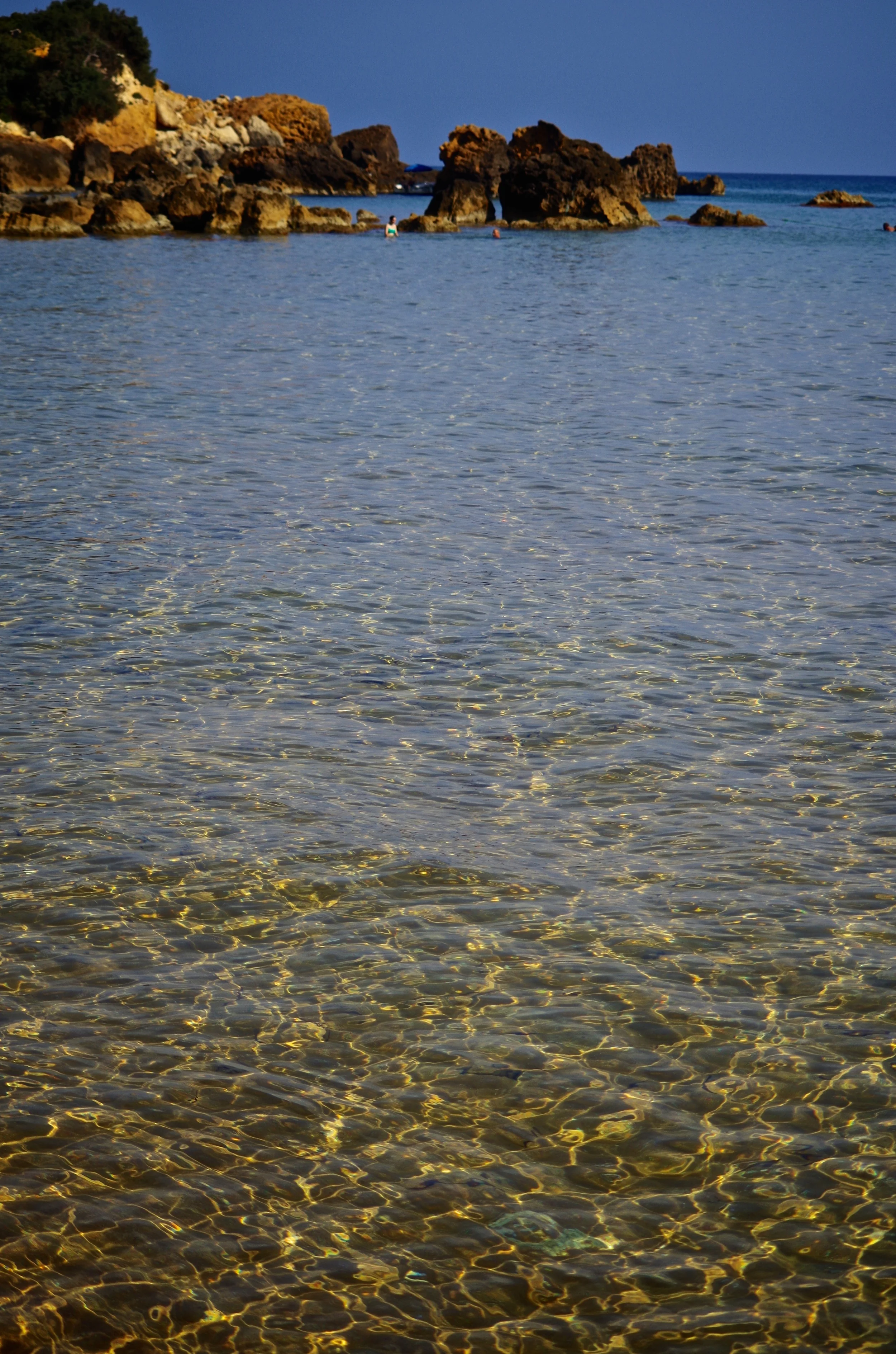 IMGP2657.jpg