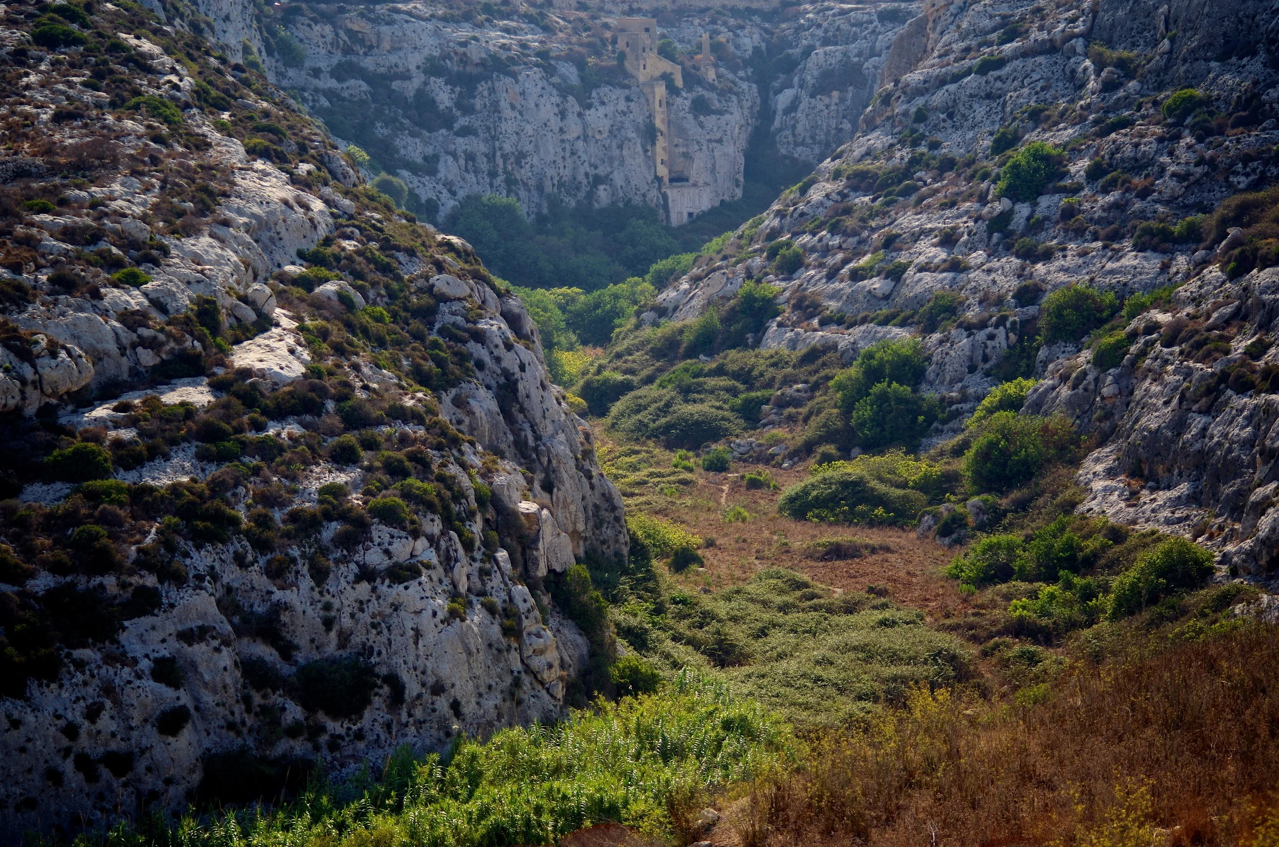 IMGP4364.jpg