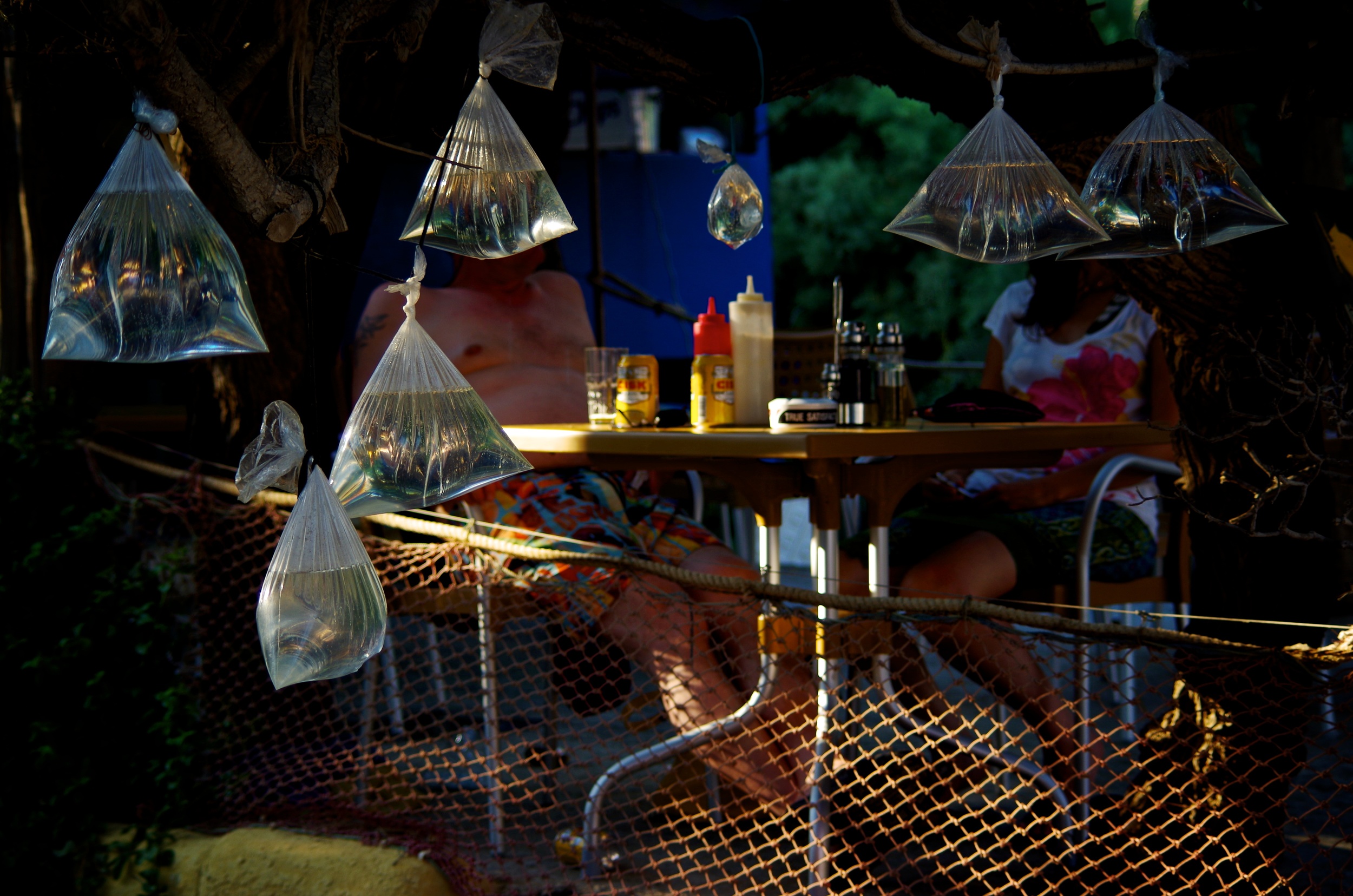 IMGP4559 - Version 2.jpg