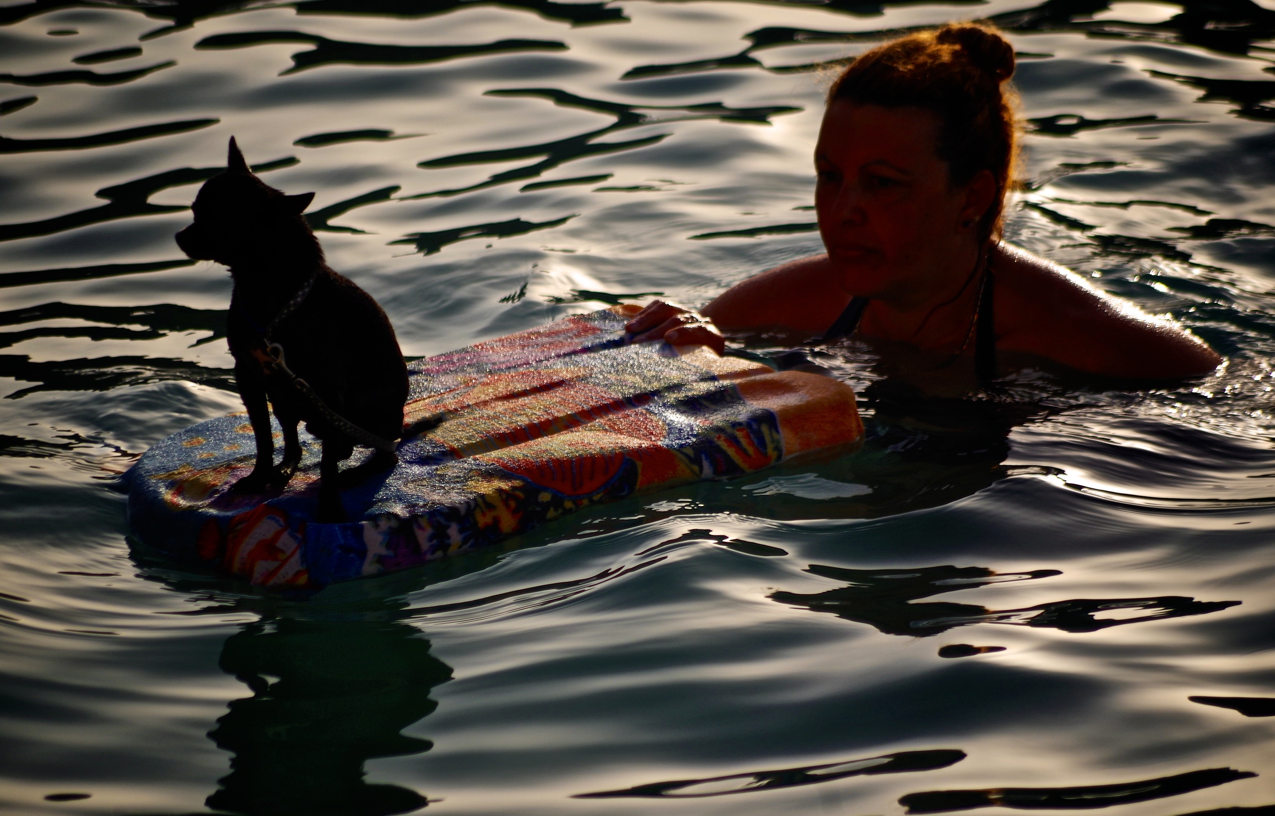 IMGP7897 - Version 2.jpg