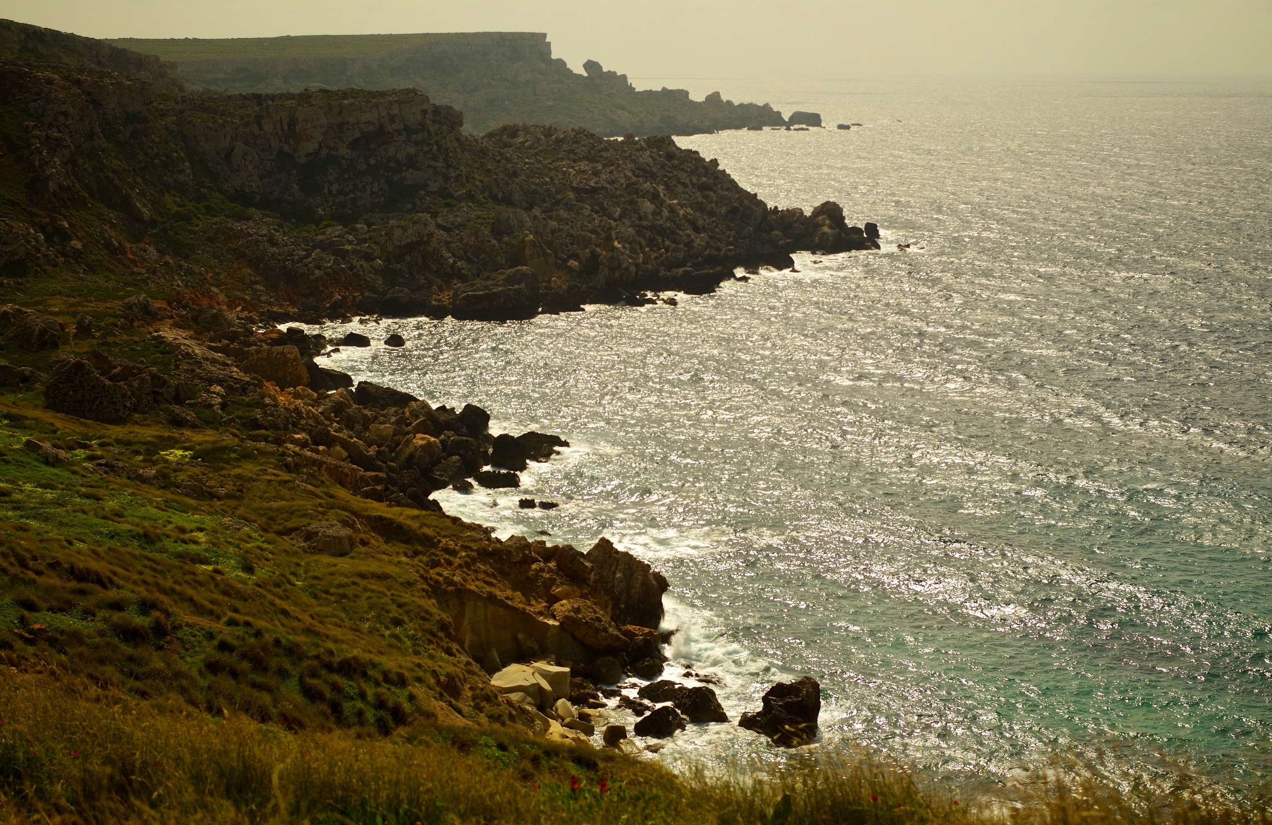 IMGP3837 - Version 2.jpg