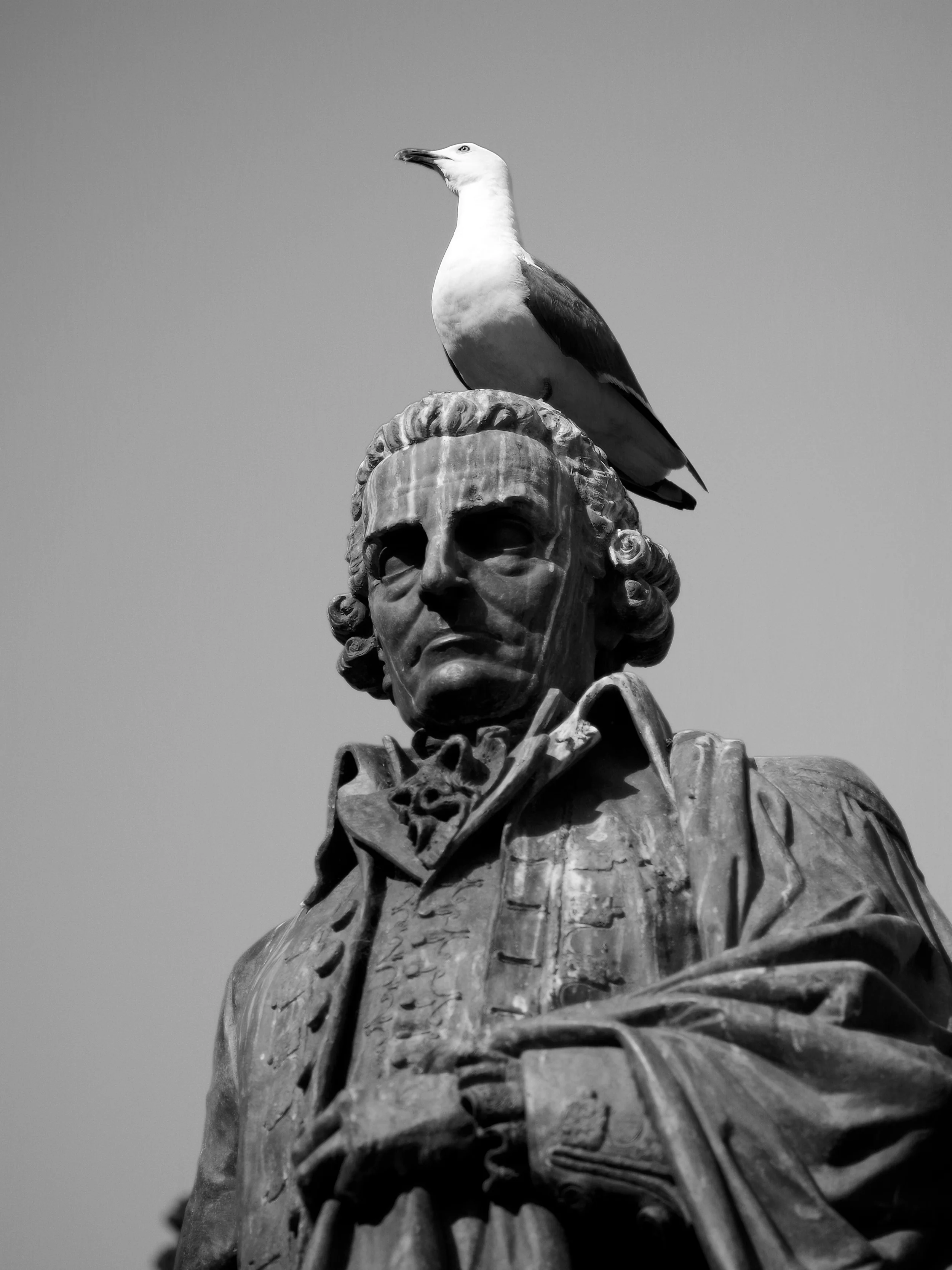 IMGP3521 - Version 2.jpg