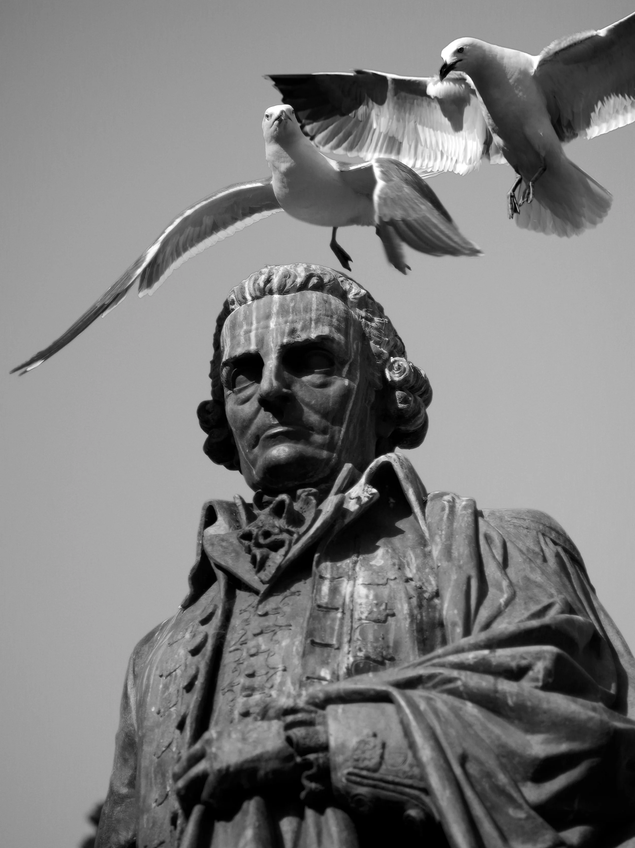 IMGP3522 - Version 2.jpg