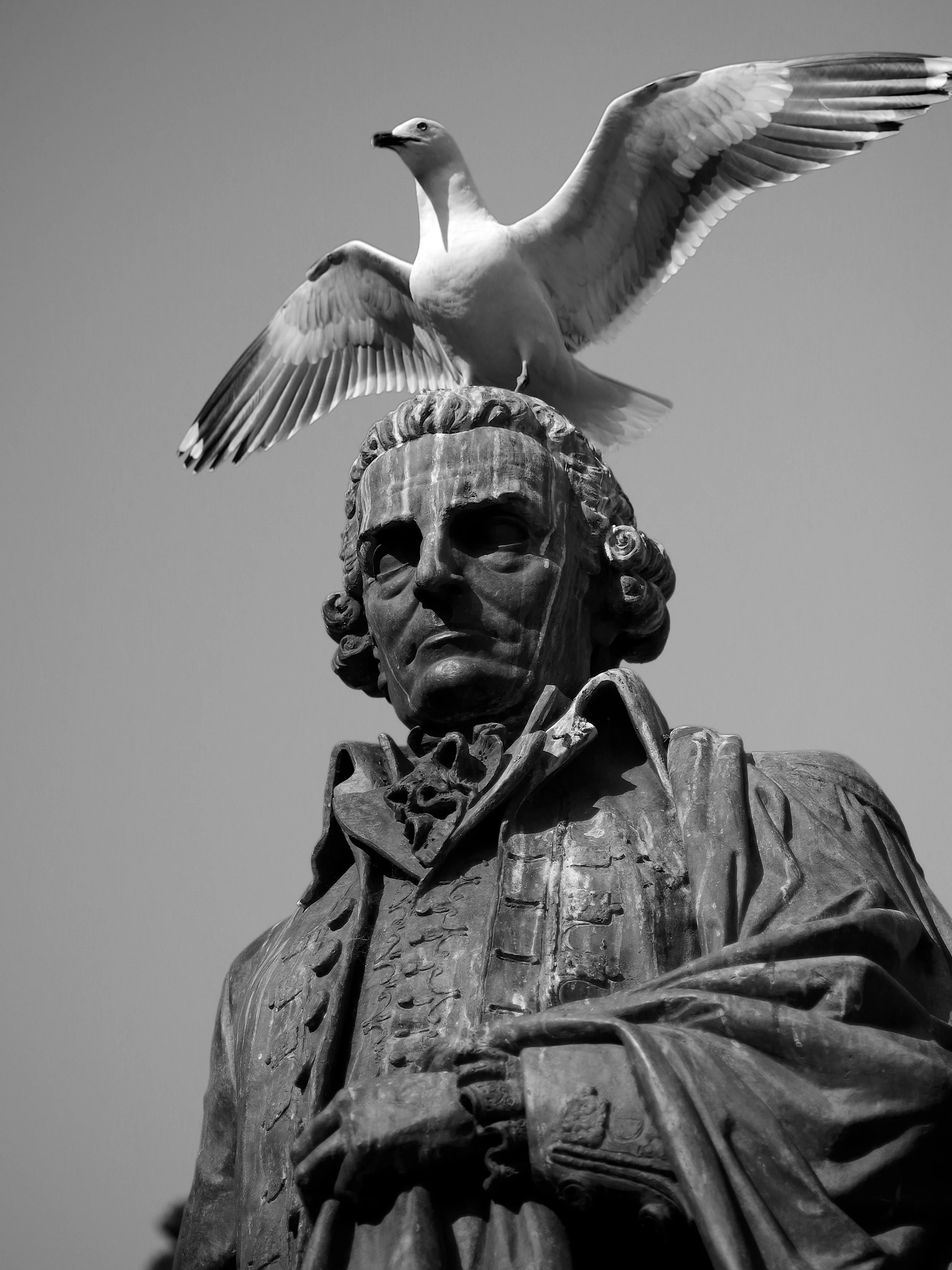 IMGP3526 - Version 2.jpg