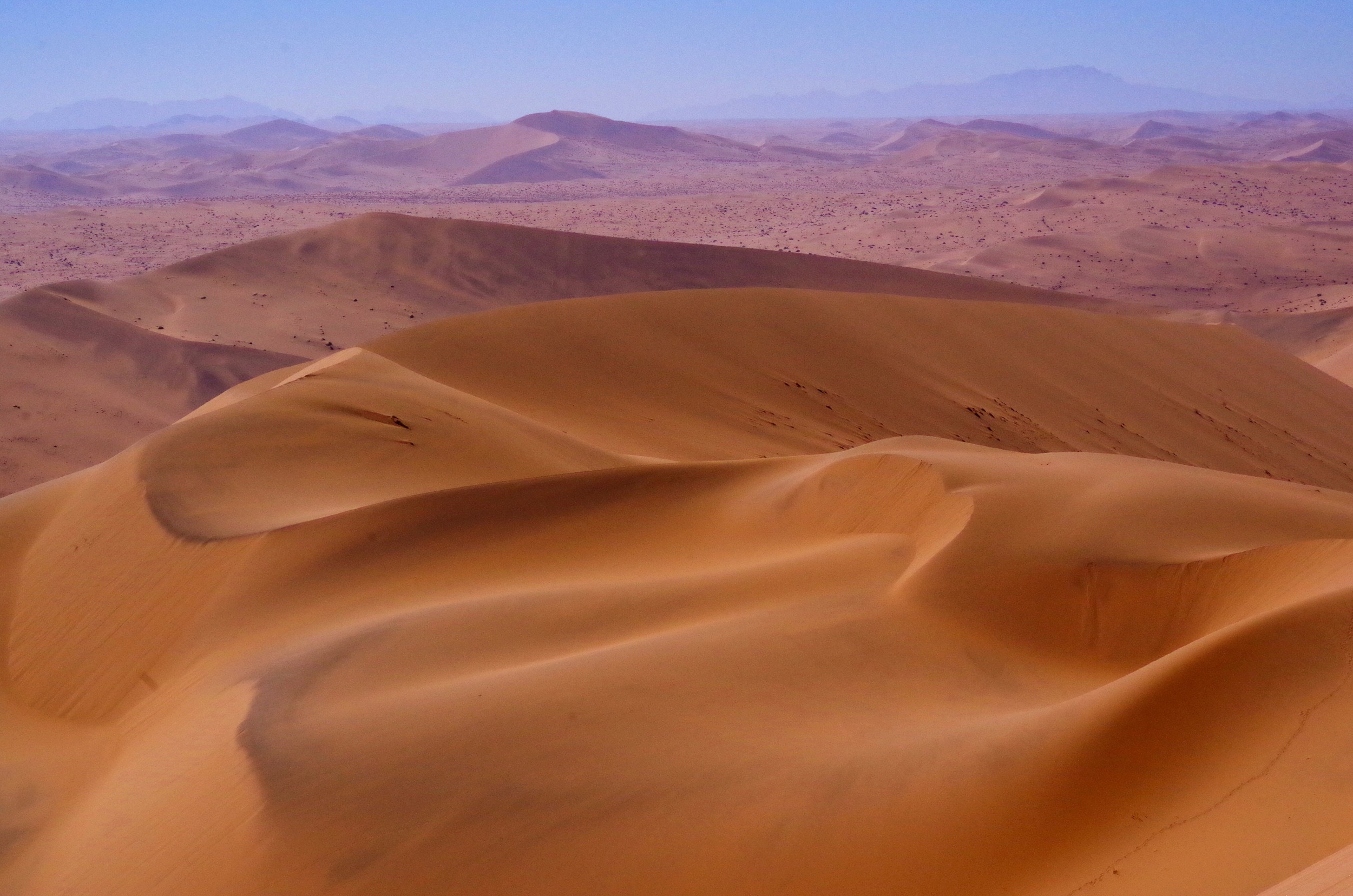 Ripples of Sand The gentle undulations of sand dunes form the terrain of much of the Namib Desert.