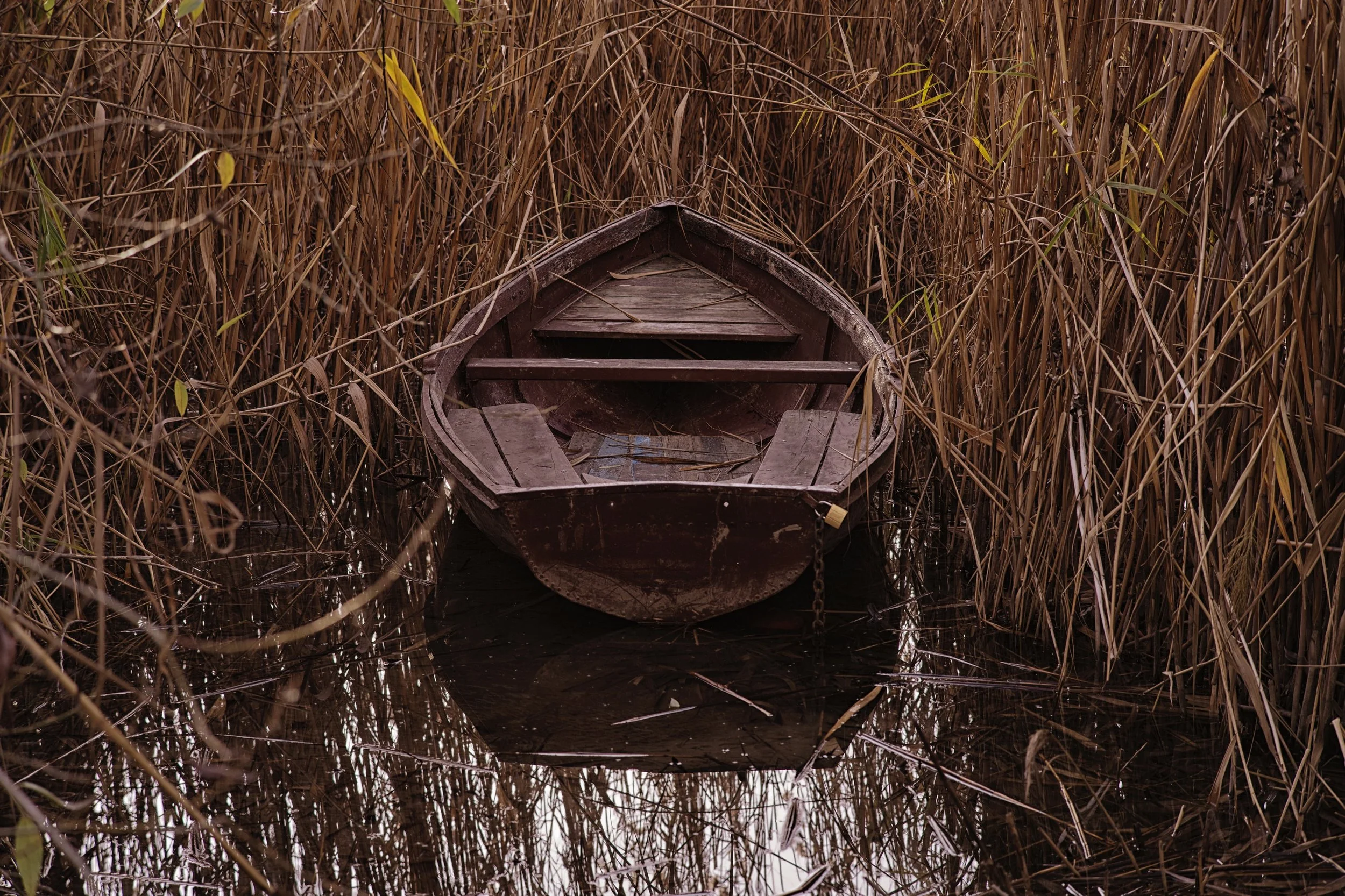 IMGP9286.jpg