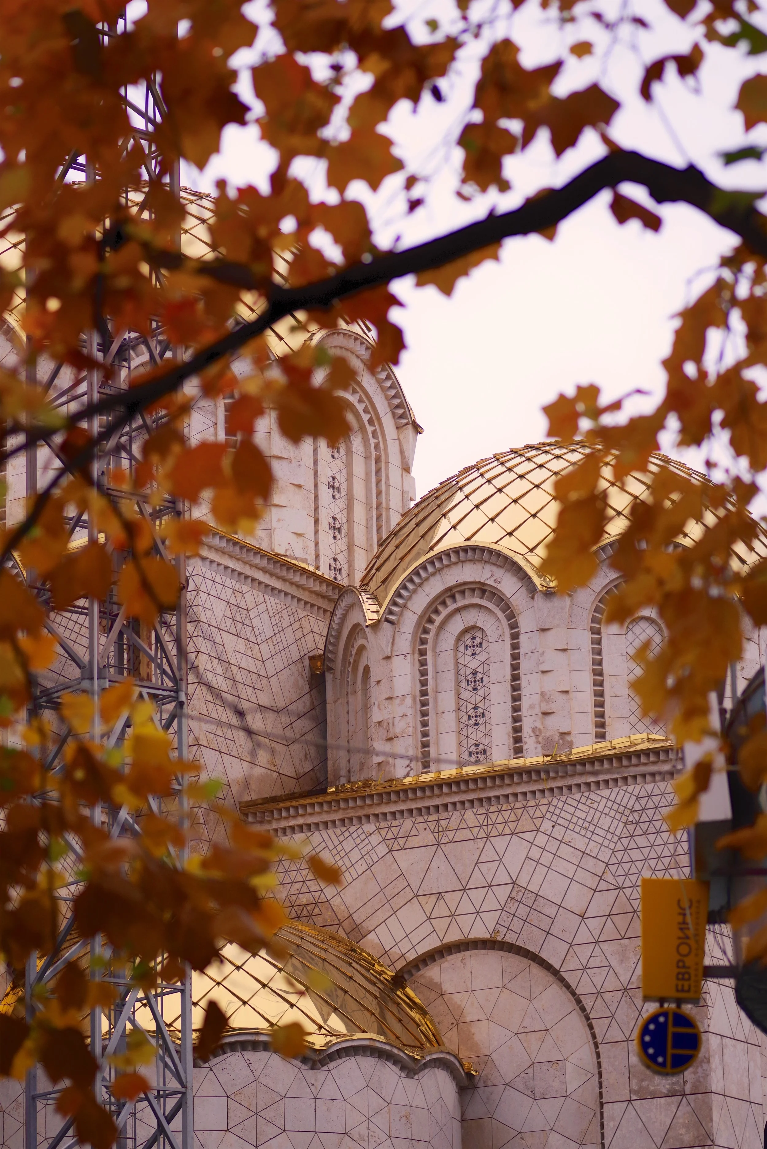 IMGP7466.jpg