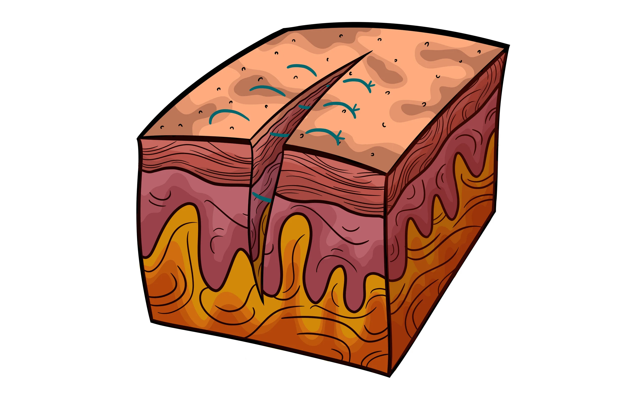 Vertical mattress .jpeg