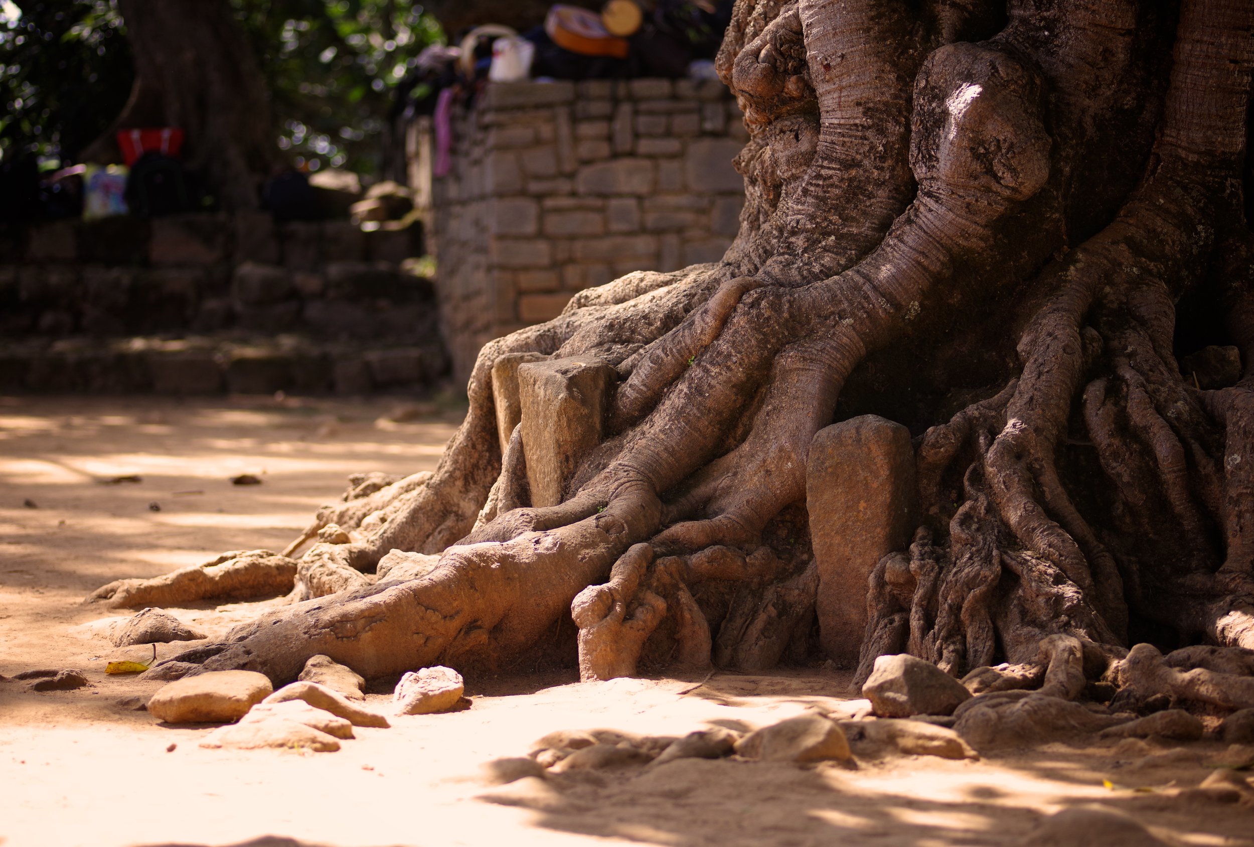 Comforting Roots Families tend to gravitate towards sacred sites on weekends and the old trees provide much needed shade and an air of peace.