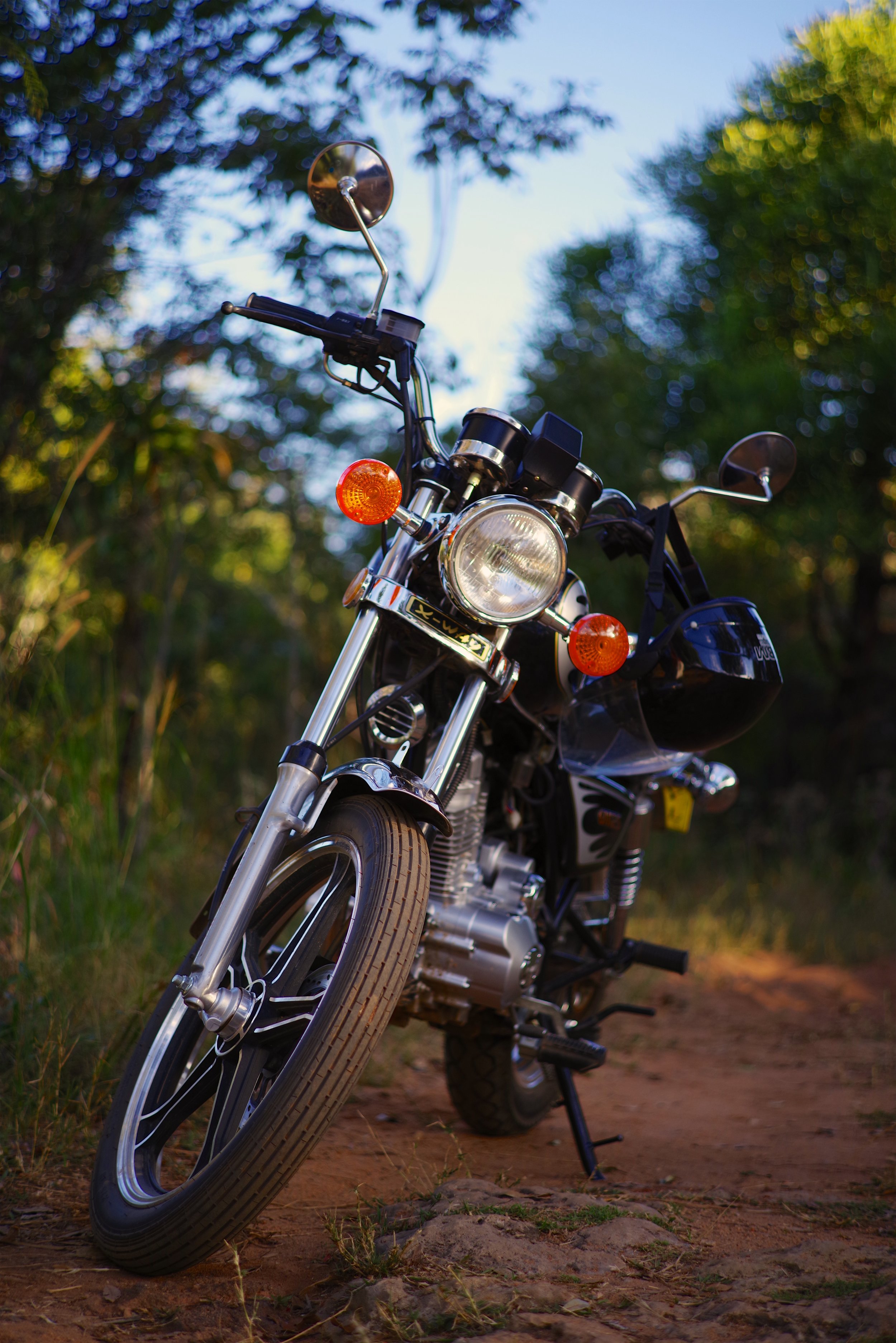 Beyond the Pines A motorbike glistens in the dappled forest light. The black body reminded me of 'A Place Beyond the Pines' starring Ryan Gosling. I have taken an interest in motorbikes ever since.
