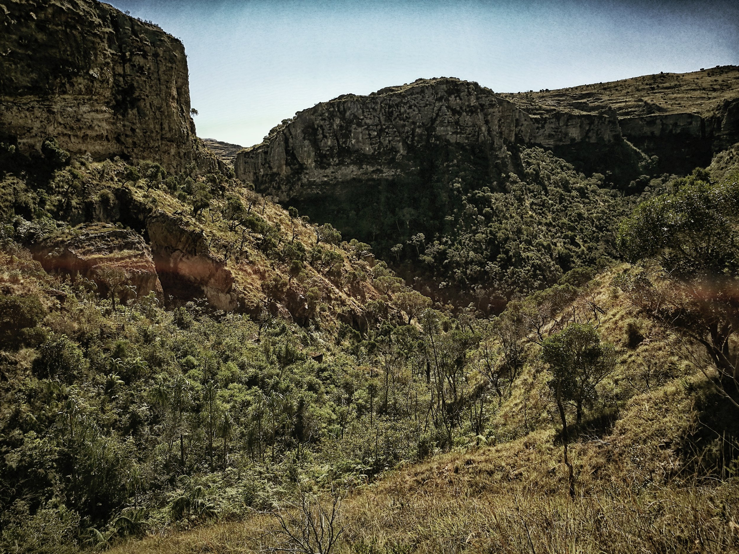 Fertile Valley Large swathes of deciduous forest carpet the valley floor.