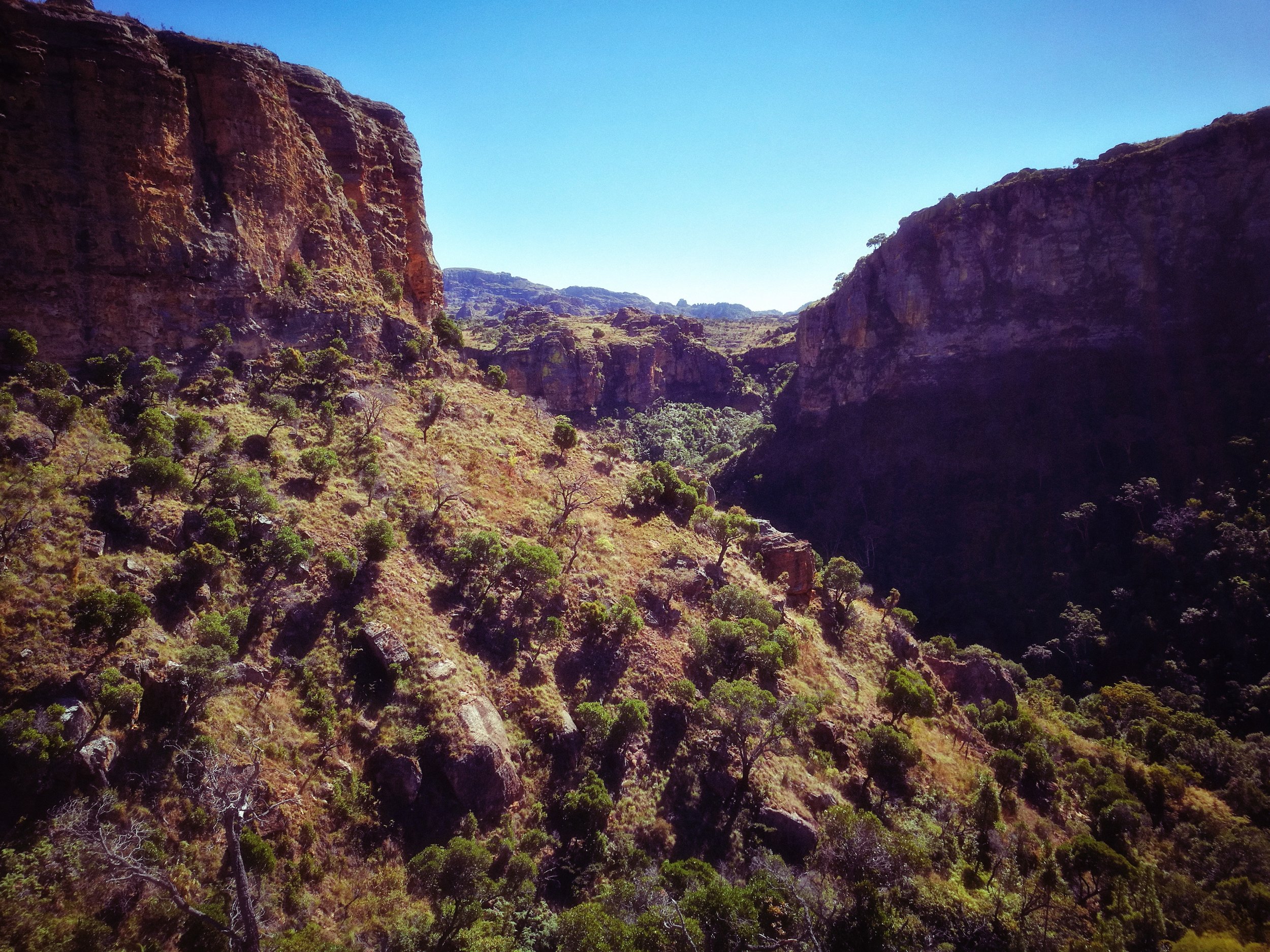 Echoing Canyon Purple hued cliffs lock themselves around a verdant trail of deciduous forest.