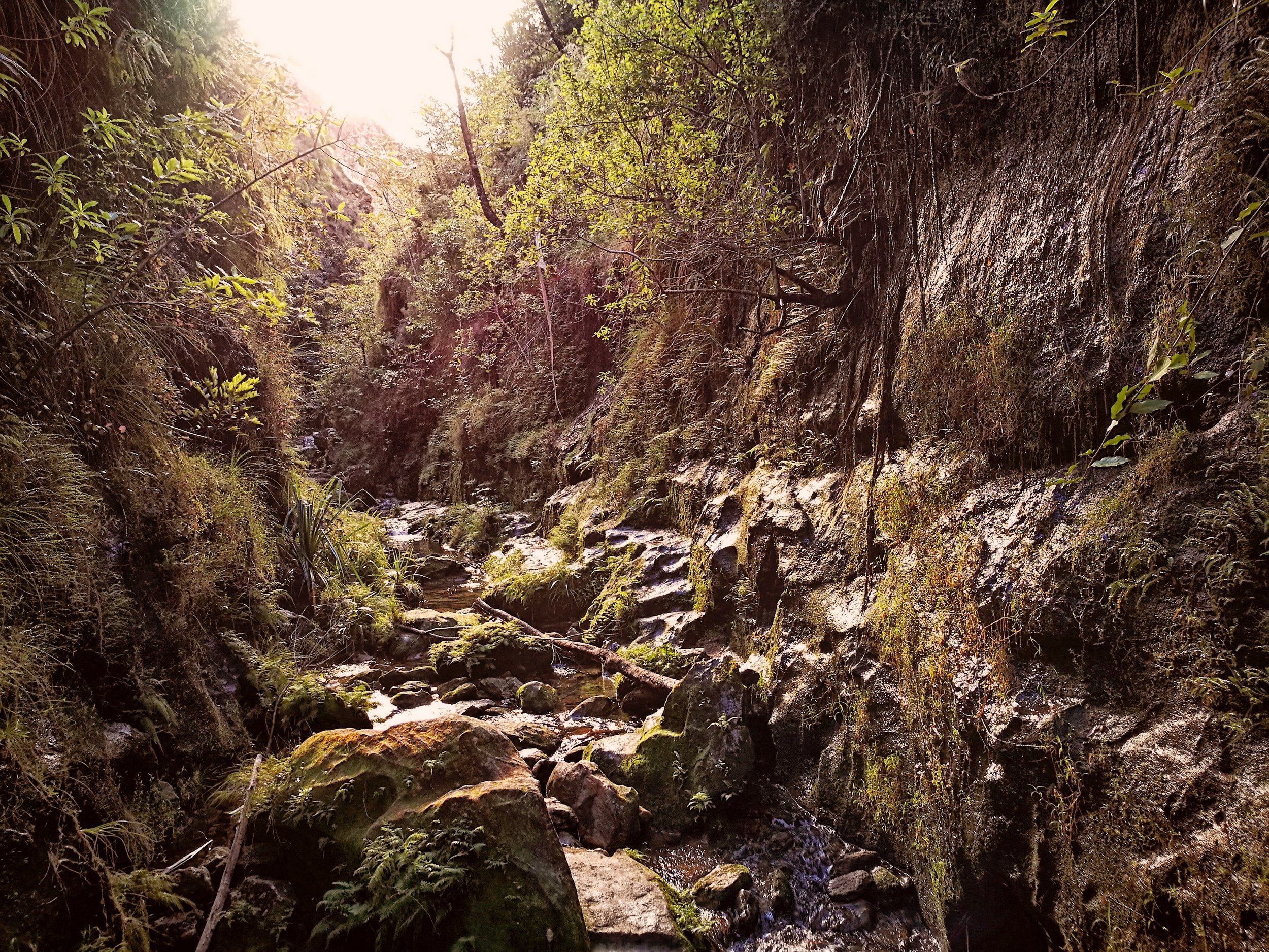 The Valley in Morning Light Mossy crevices and hidden stairways glow under the rich morning sun.