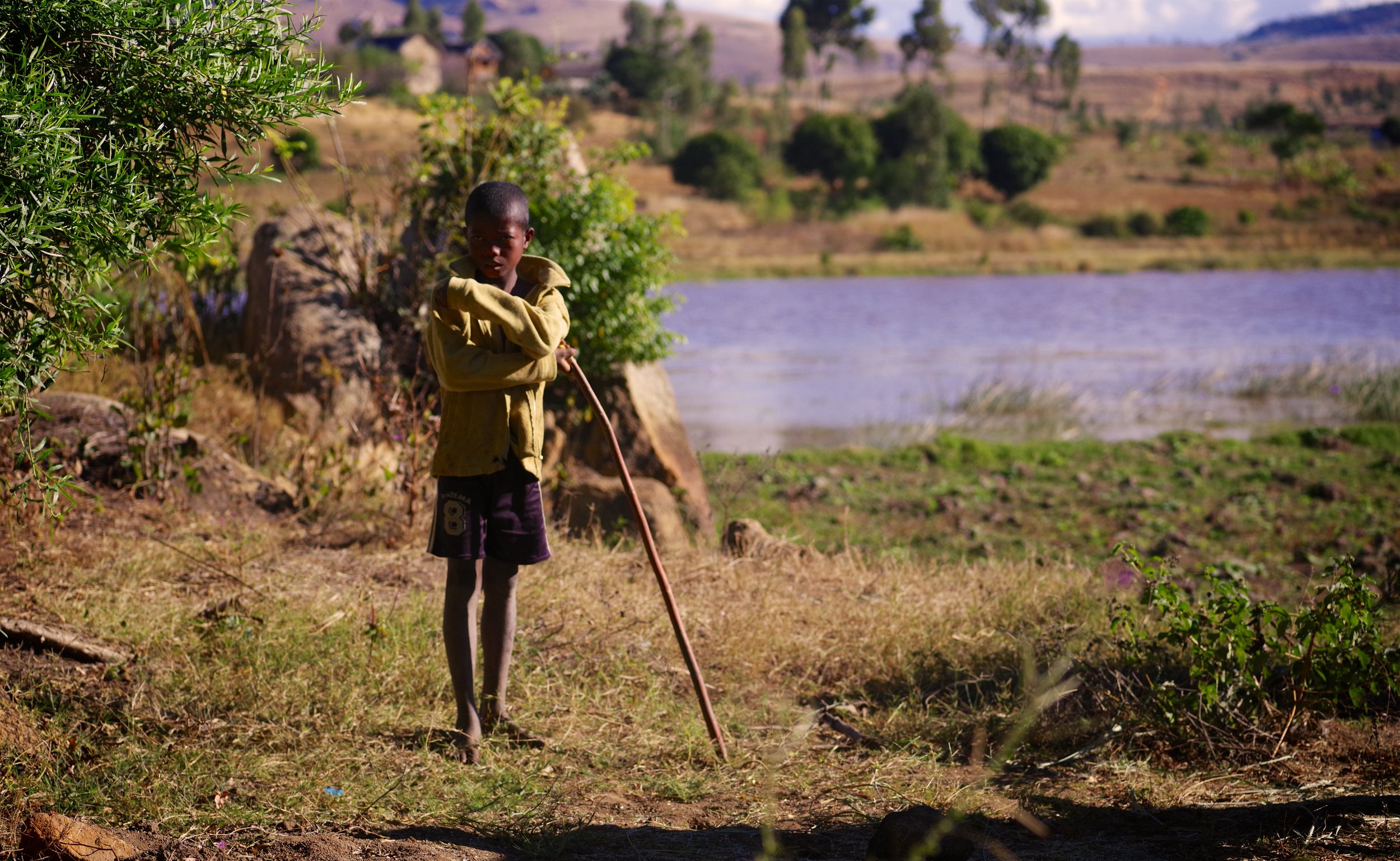 Young Goatherd A young boy rests on his staff as his herd of goats and zebu graze by a placid lake next to the small village of Anja. 