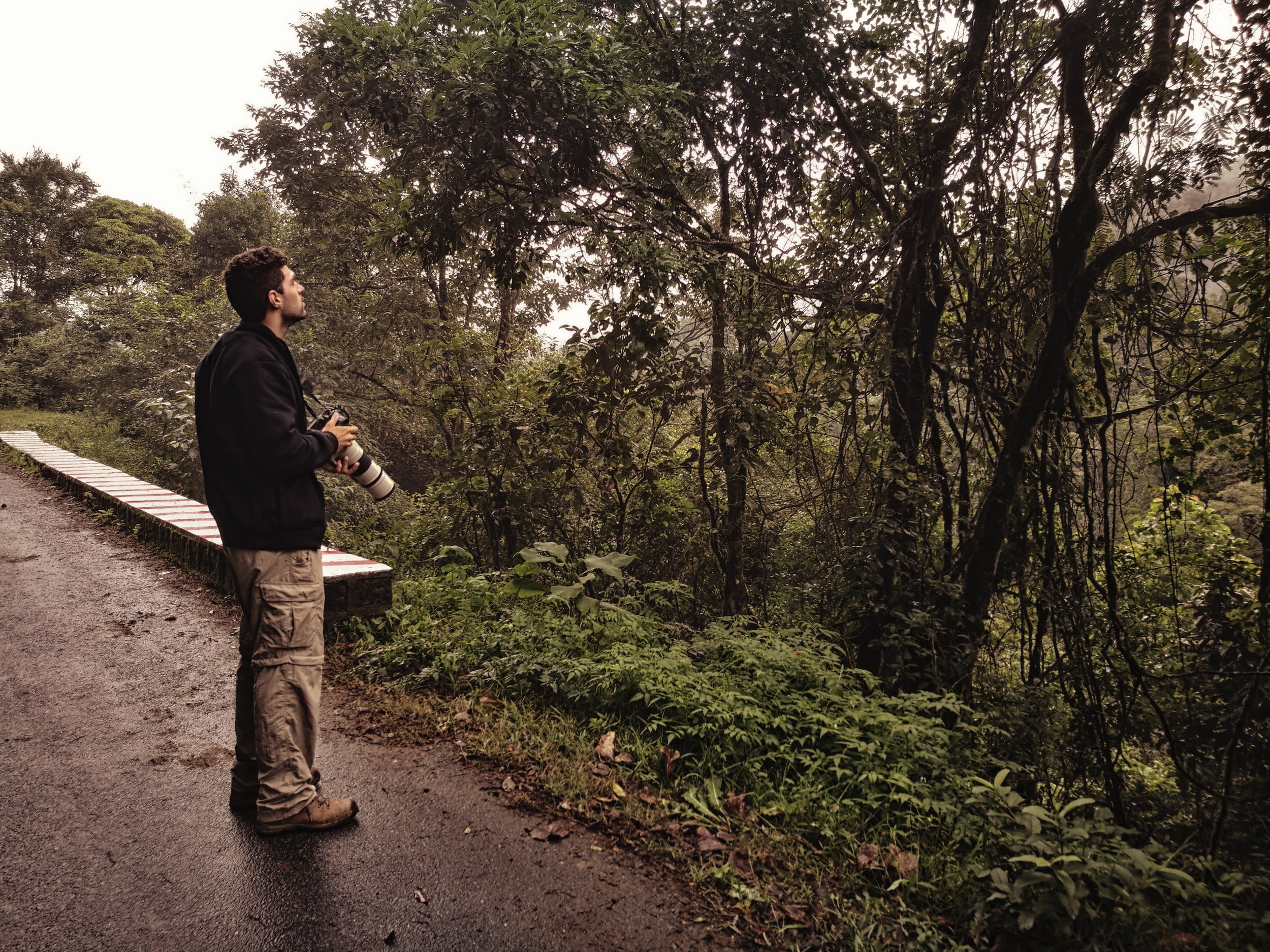 Birding A keen birder, Juan scans the tree tops for endemic species. A drongo later caught his attention here.