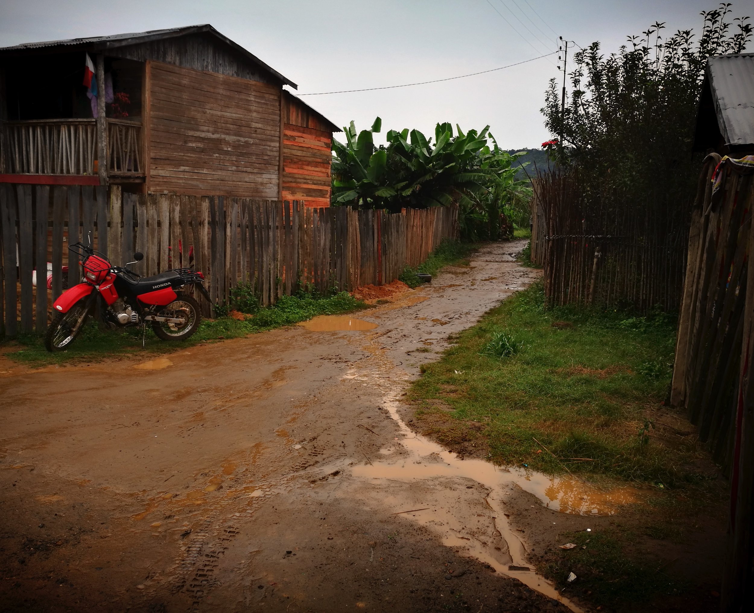 The Plantation A rubber planter’s house and motorbike sit beside a muddy lane.