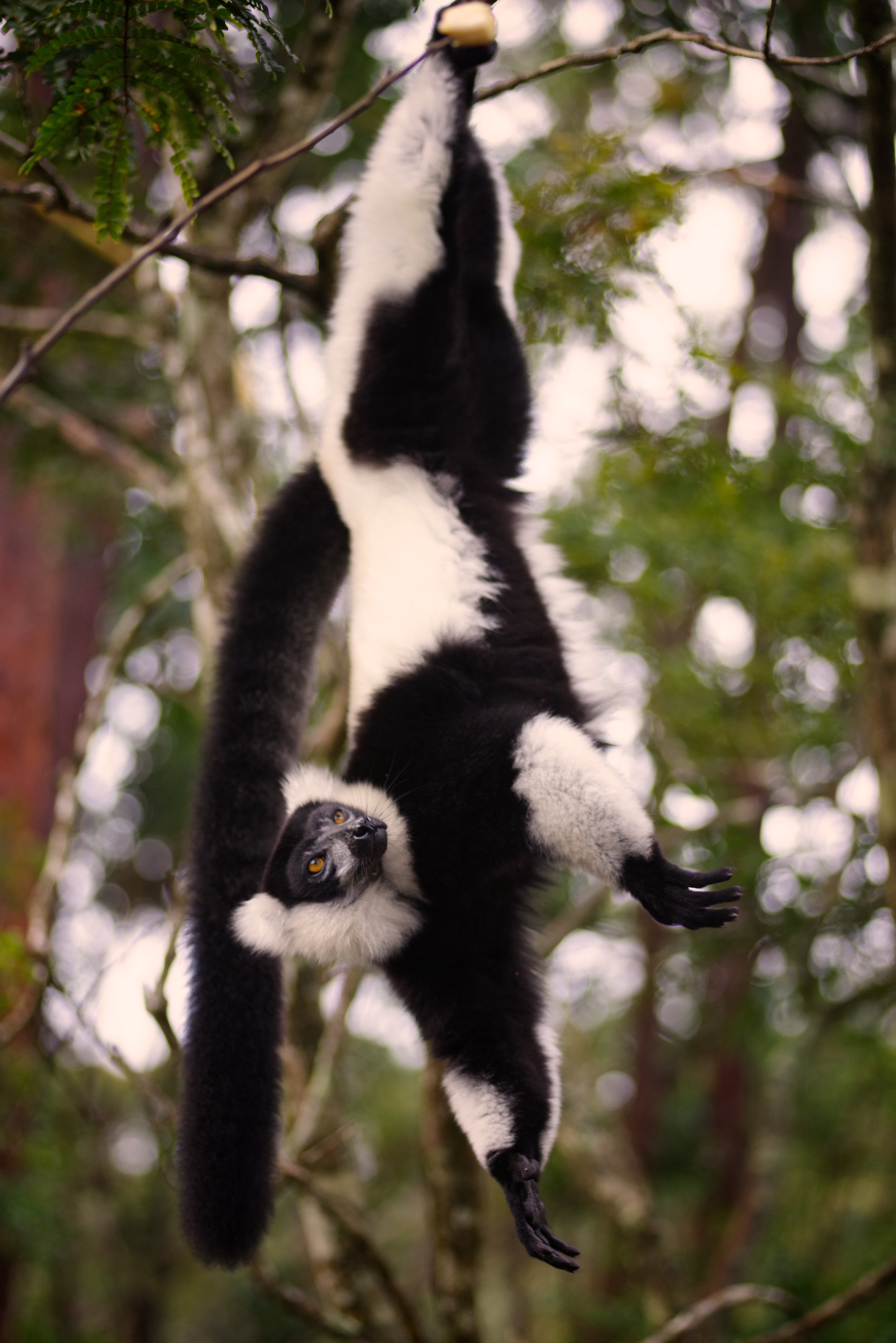 Look Up Has your partner had enough and left the branch?