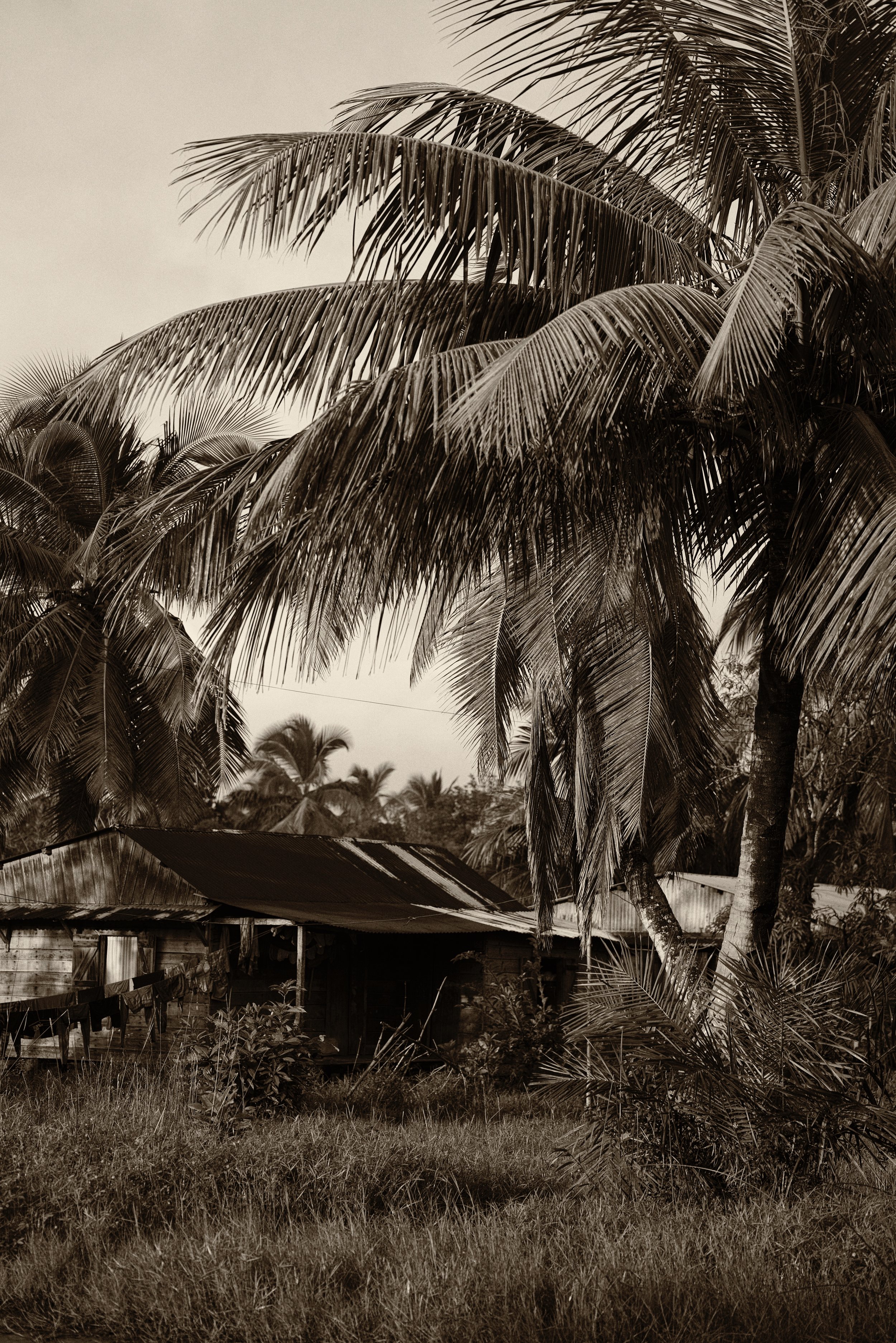 Abandoned Outstation There is something quite magical about wooden huts with corrugated metal roofs and palm trees swinging overhead. It gives one the impression of an abandoned Rubber Planter’s outstation, right out of a Somerset Maugham story.