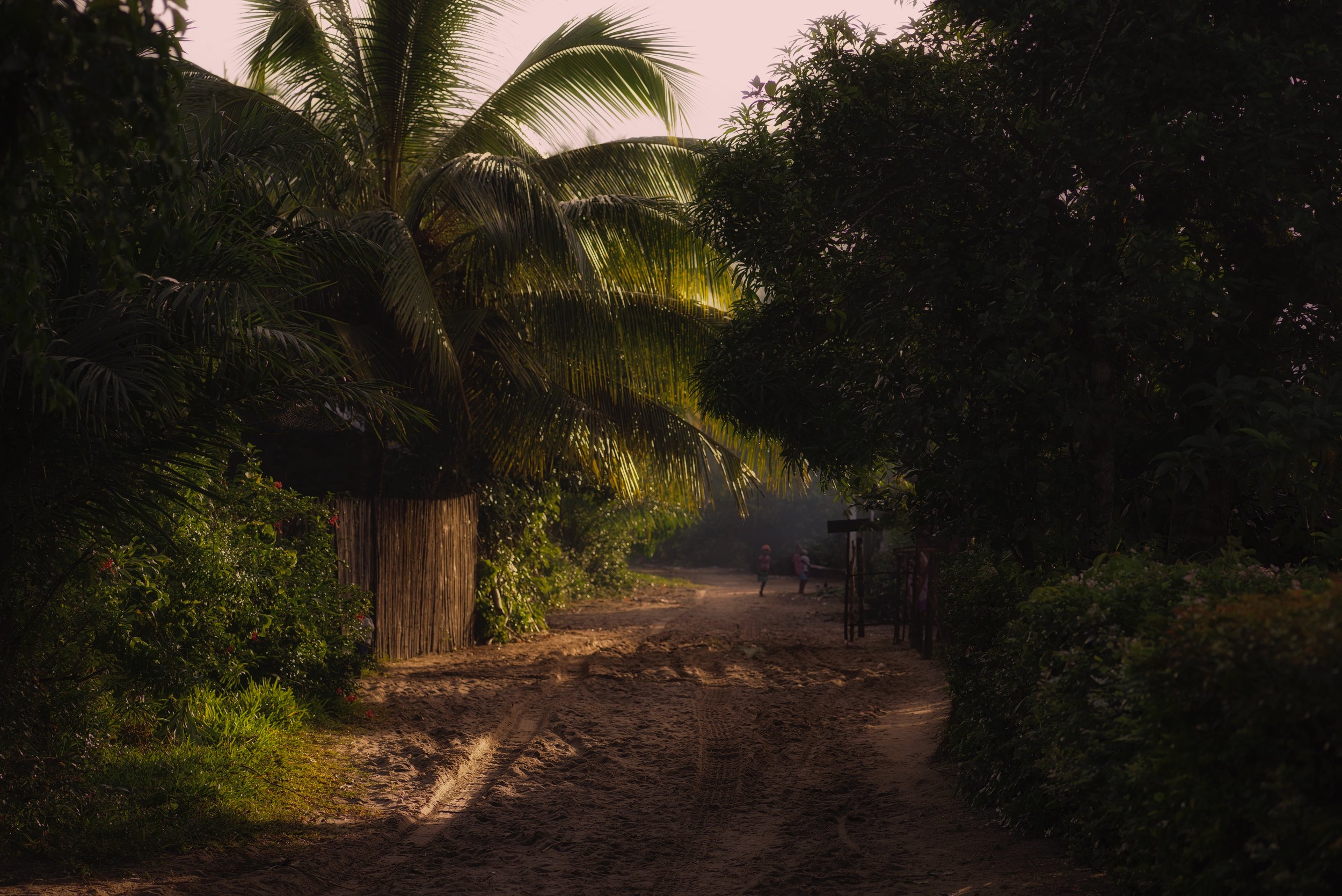 Morning Light The sun’s rays trickle in on this heavily planted village.