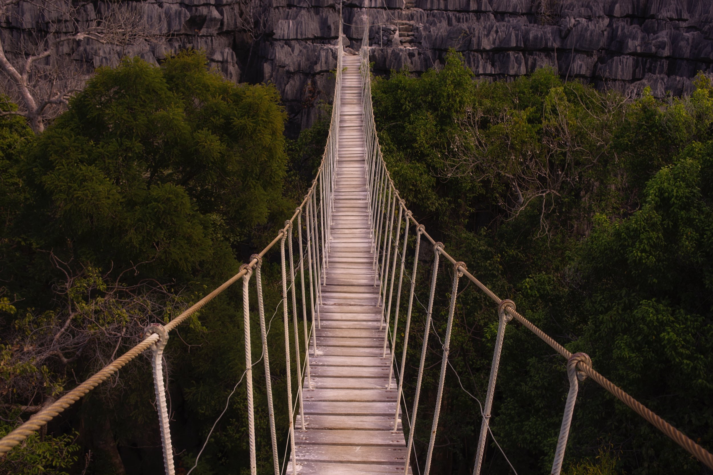 Don’t Look Down In true Indiana Jones fashion, this bridge leads one across the deep limestone tsingy ravines.