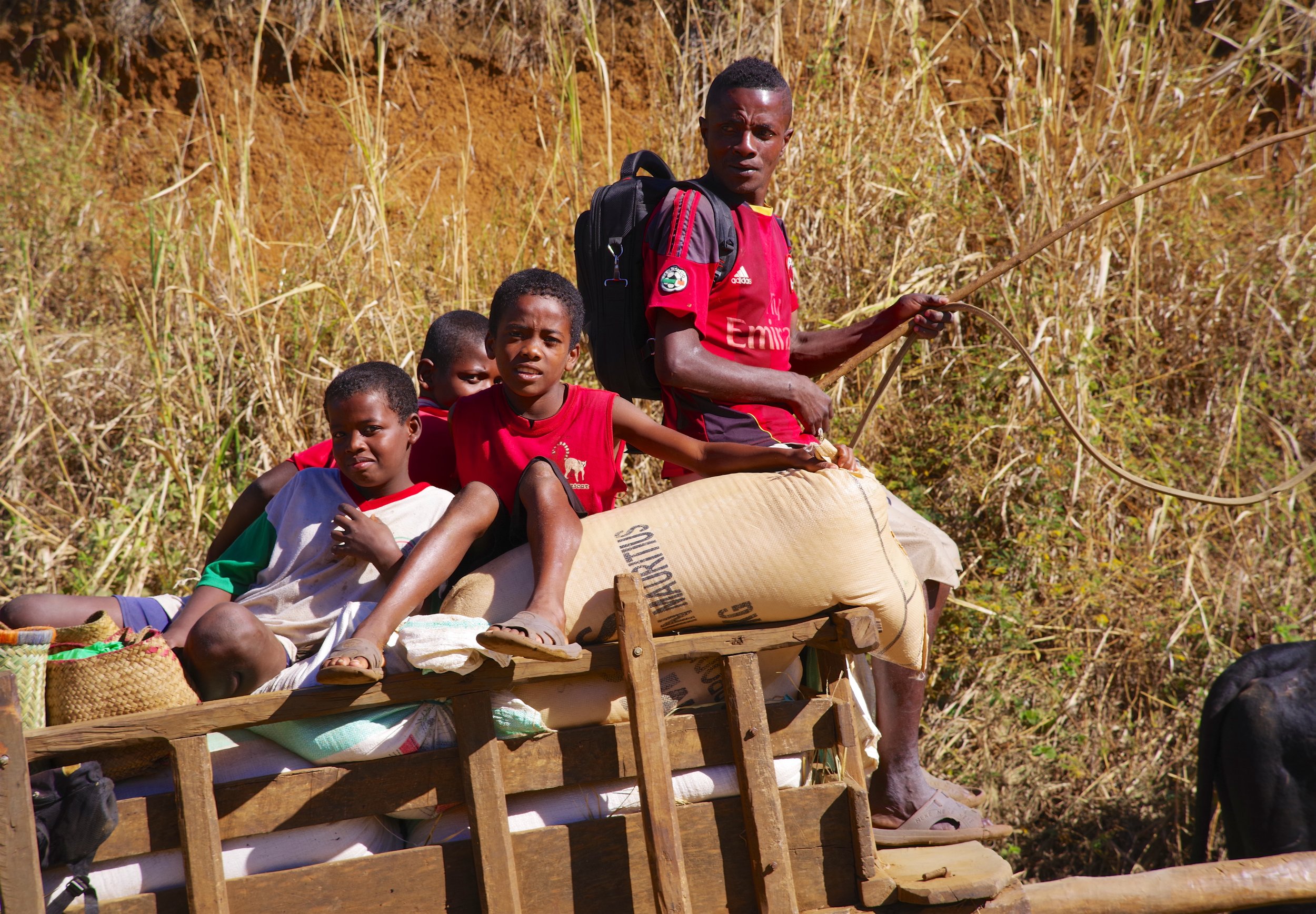 Carted Family A father and his children make their way to a nearby village on market day.
